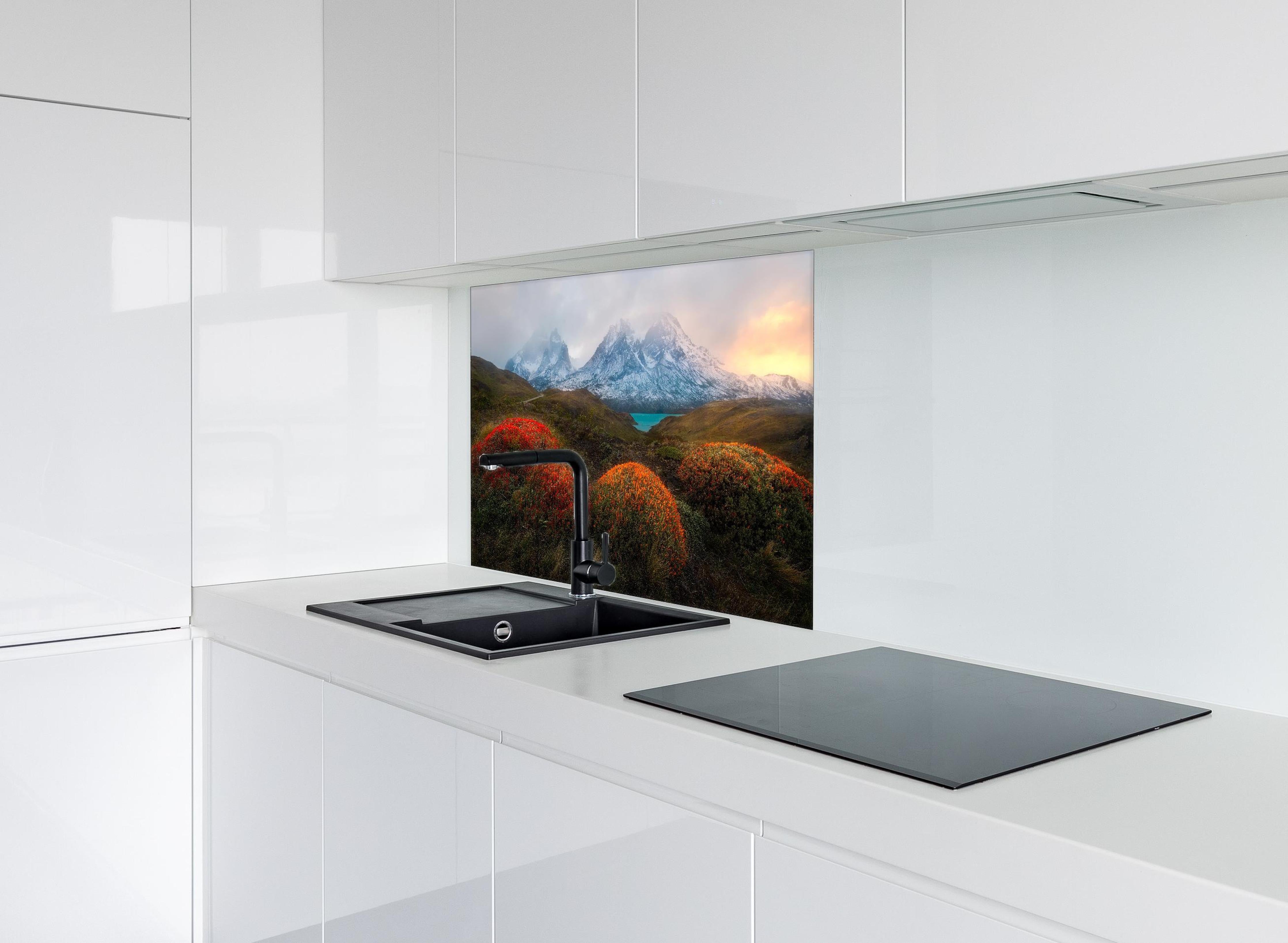 Spritzschutz - Patagonischer Frühling mit schneebedeckten Gipfeln hinter einem Cerankochfeld zwischen Holz-Kochutensilien
