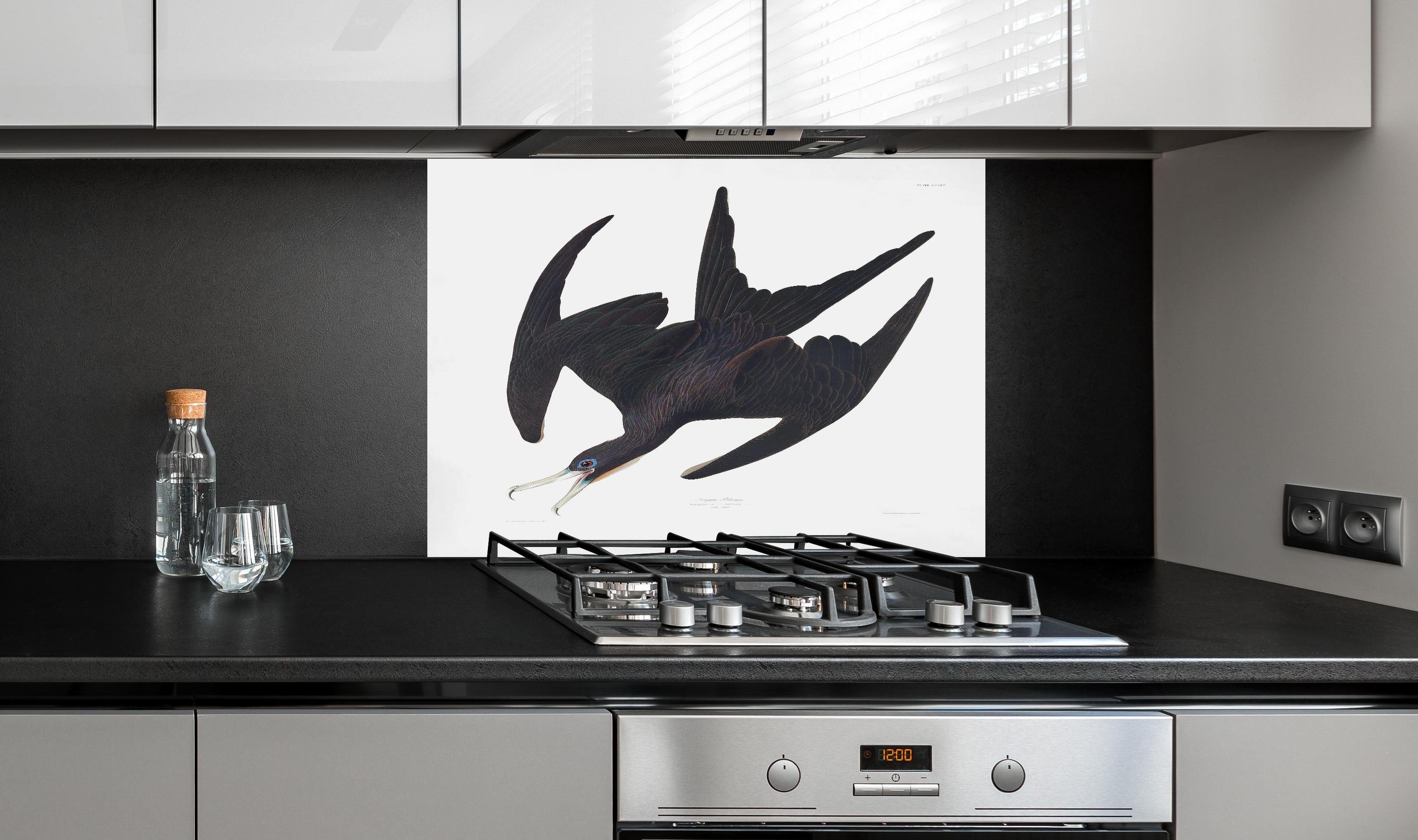 Spritzschutz - Pelikan Portrait - Robert Havell  hinter einem Cerankochfeld zwischen Holz-Kochutensilien
