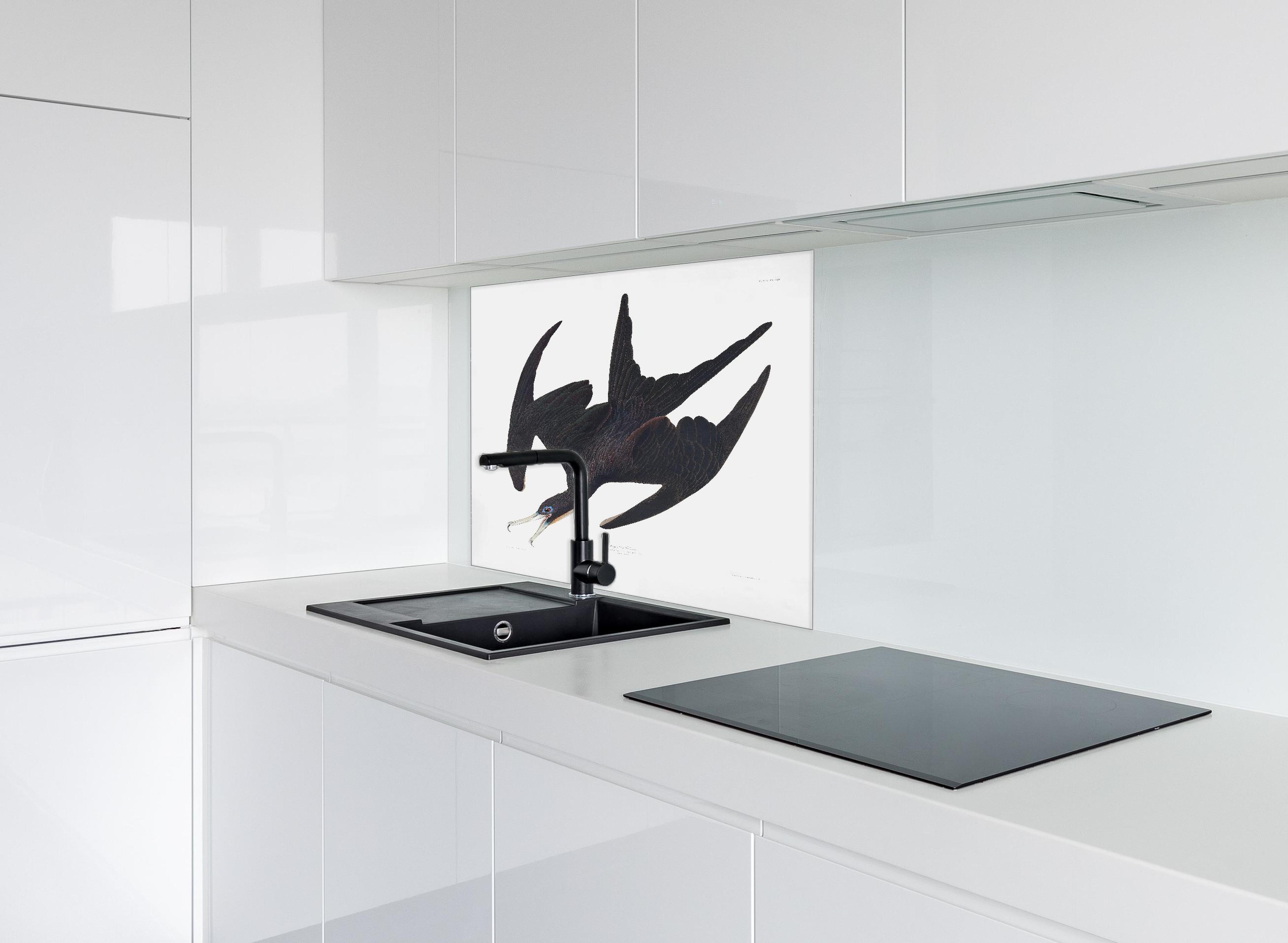 Spritzschutz - Pelikan Portrait - Robert Havell  hinter einem Cerankochfeld zwischen Holz-Kochutensilien
