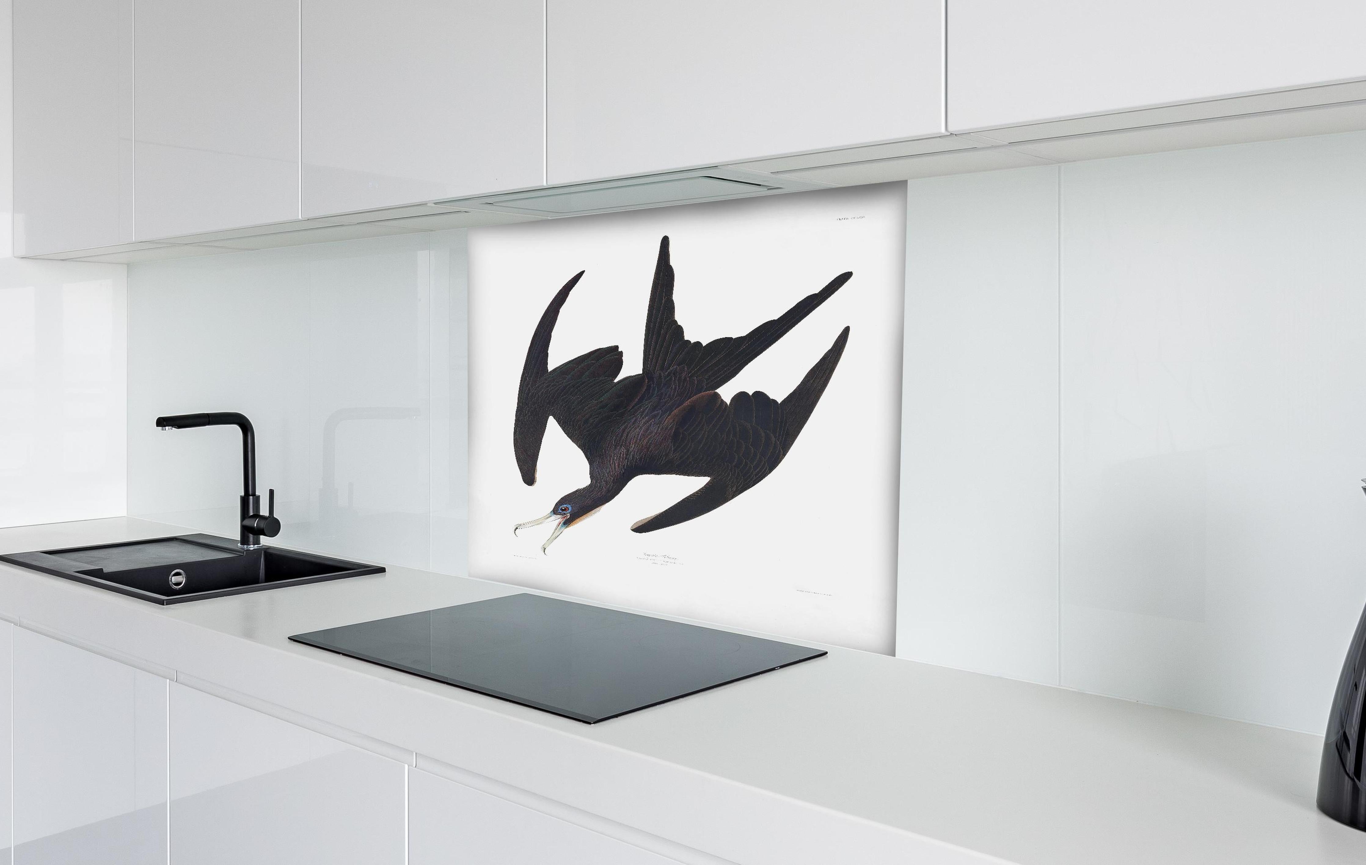 Spritzschutz - Pelikan Portrait - Robert Havell  hinter einem Cerankochfeld zwischen Holz-Kochutensilien
