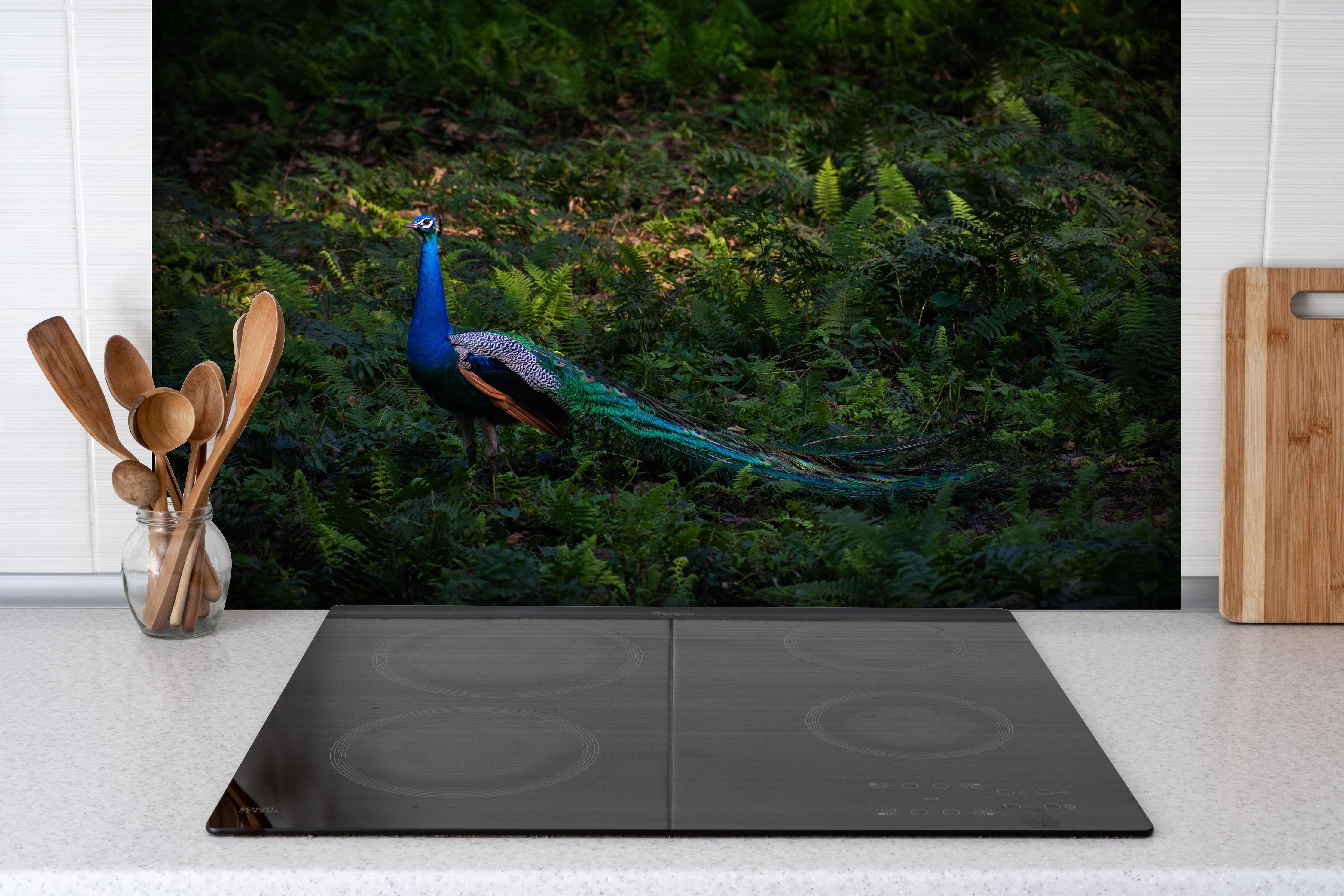 Spritzschutz - Pfau in freier Natur hinter einem Cerankochfeld zwischen Holz-Kochutensilien
