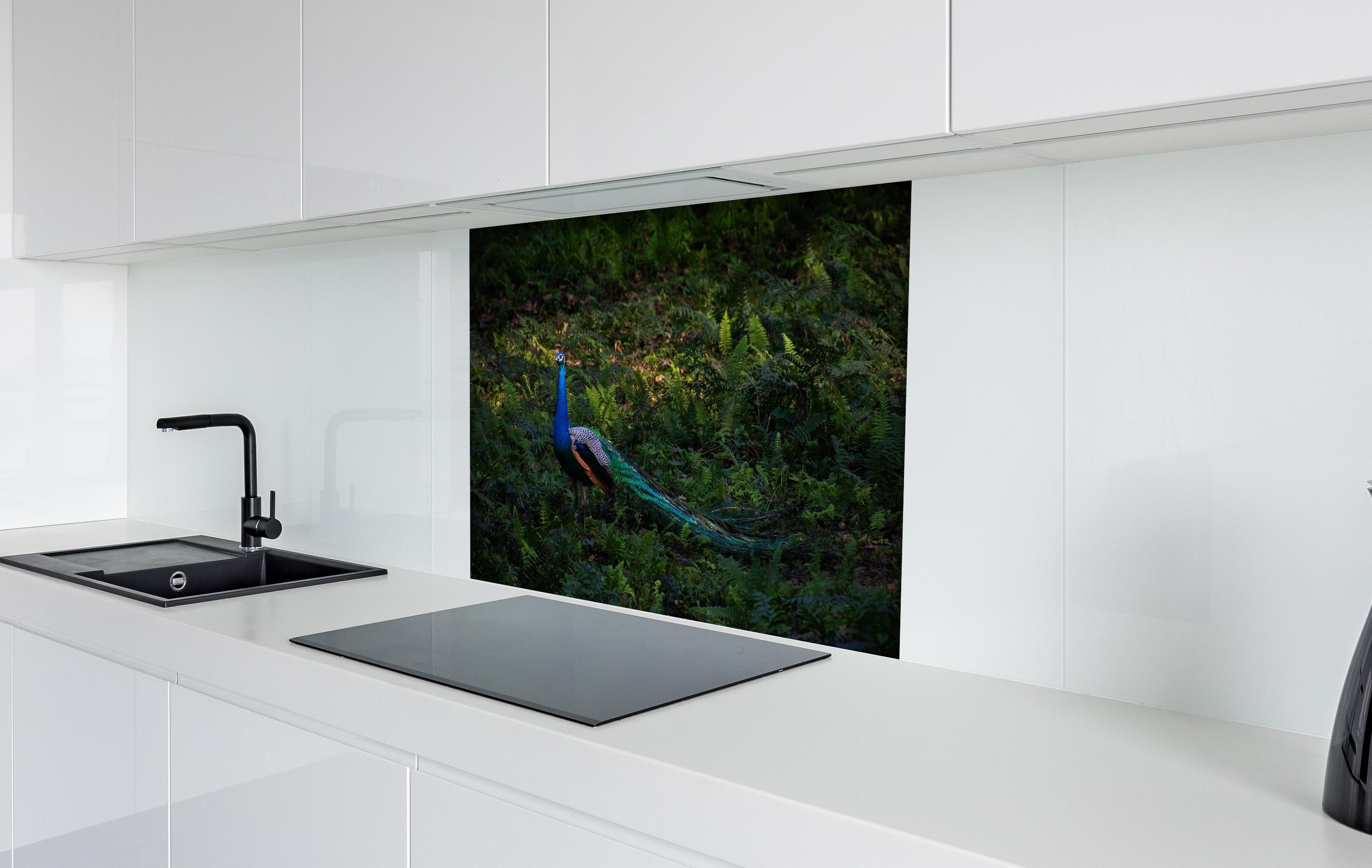 Spritzschutz - Pfau in freier Natur hinter einem Cerankochfeld zwischen Holz-Kochutensilien
