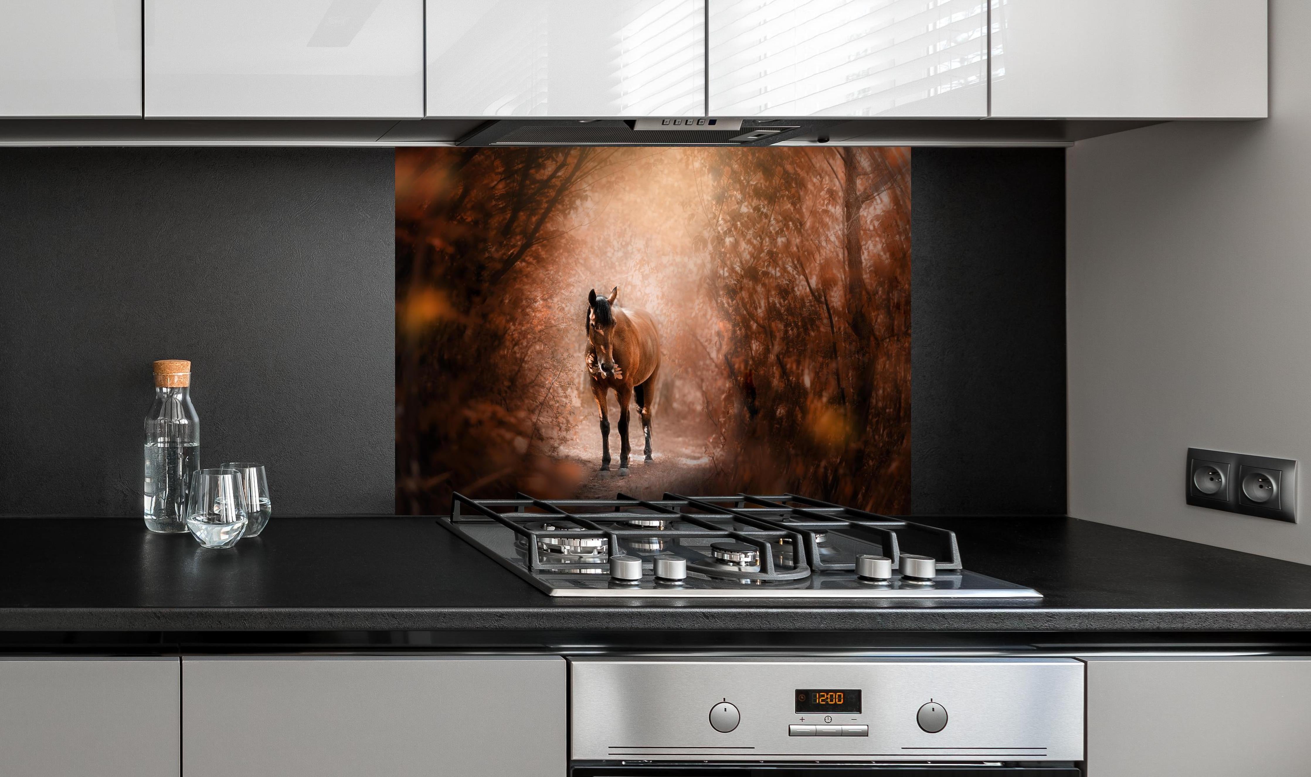 Spritzschutz - Pferd stehend im Wald hinter einem Cerankochfeld zwischen Holz-Kochutensilien
