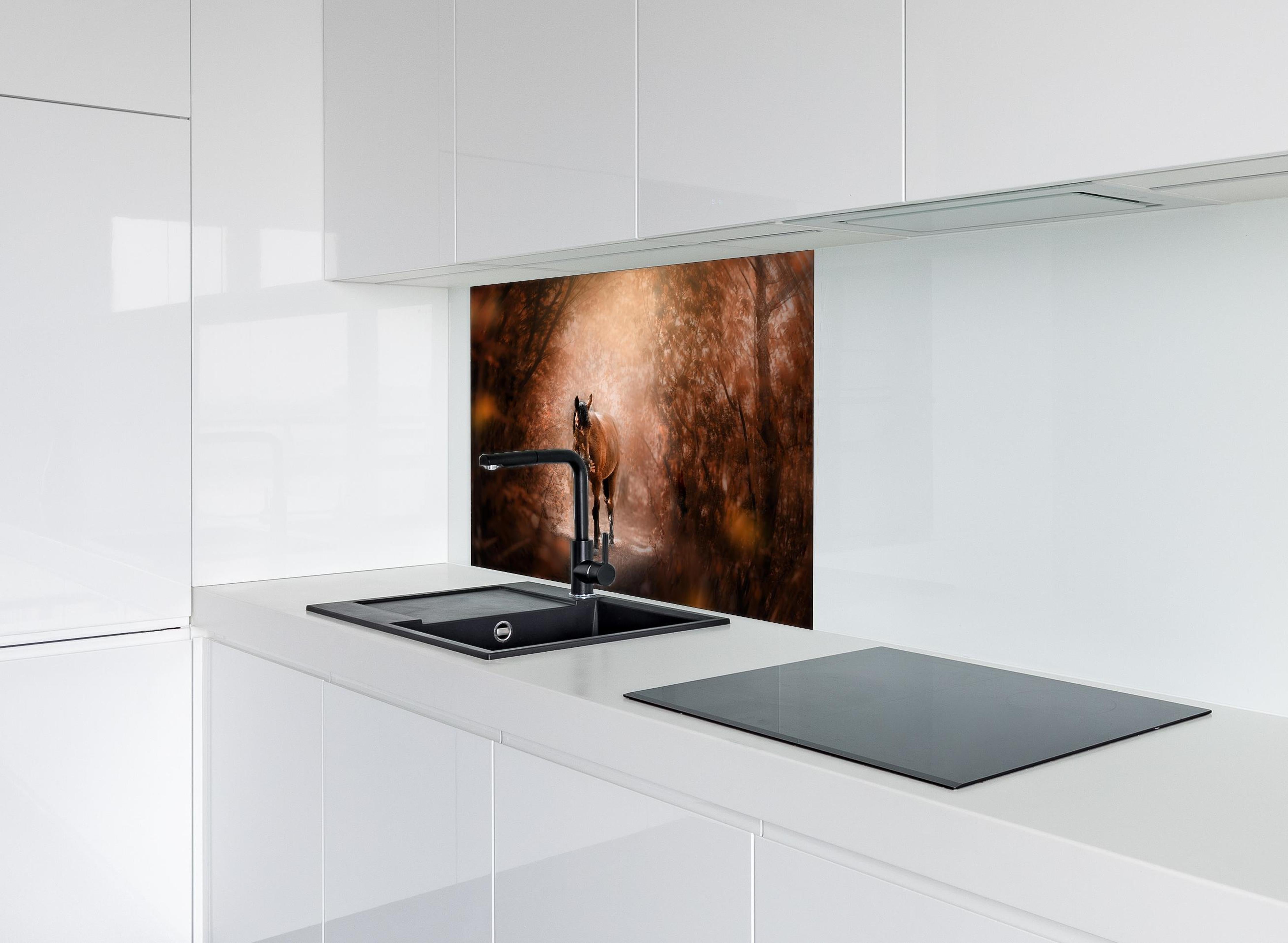 Spritzschutz - Pferd stehend im Wald hinter einem Cerankochfeld zwischen Holz-Kochutensilien
