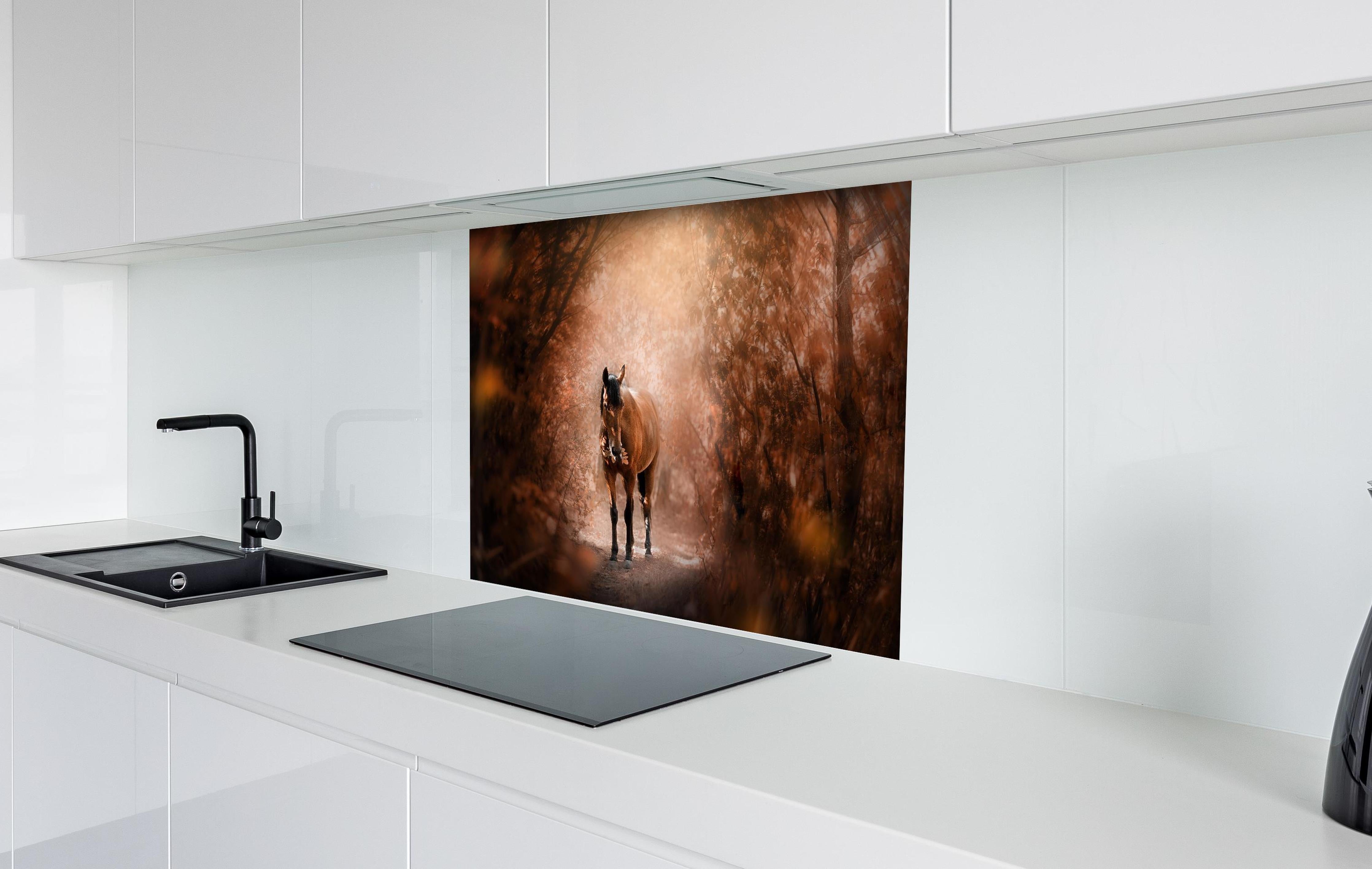 Spritzschutz - Pferd stehend im Wald hinter einem Cerankochfeld zwischen Holz-Kochutensilien
