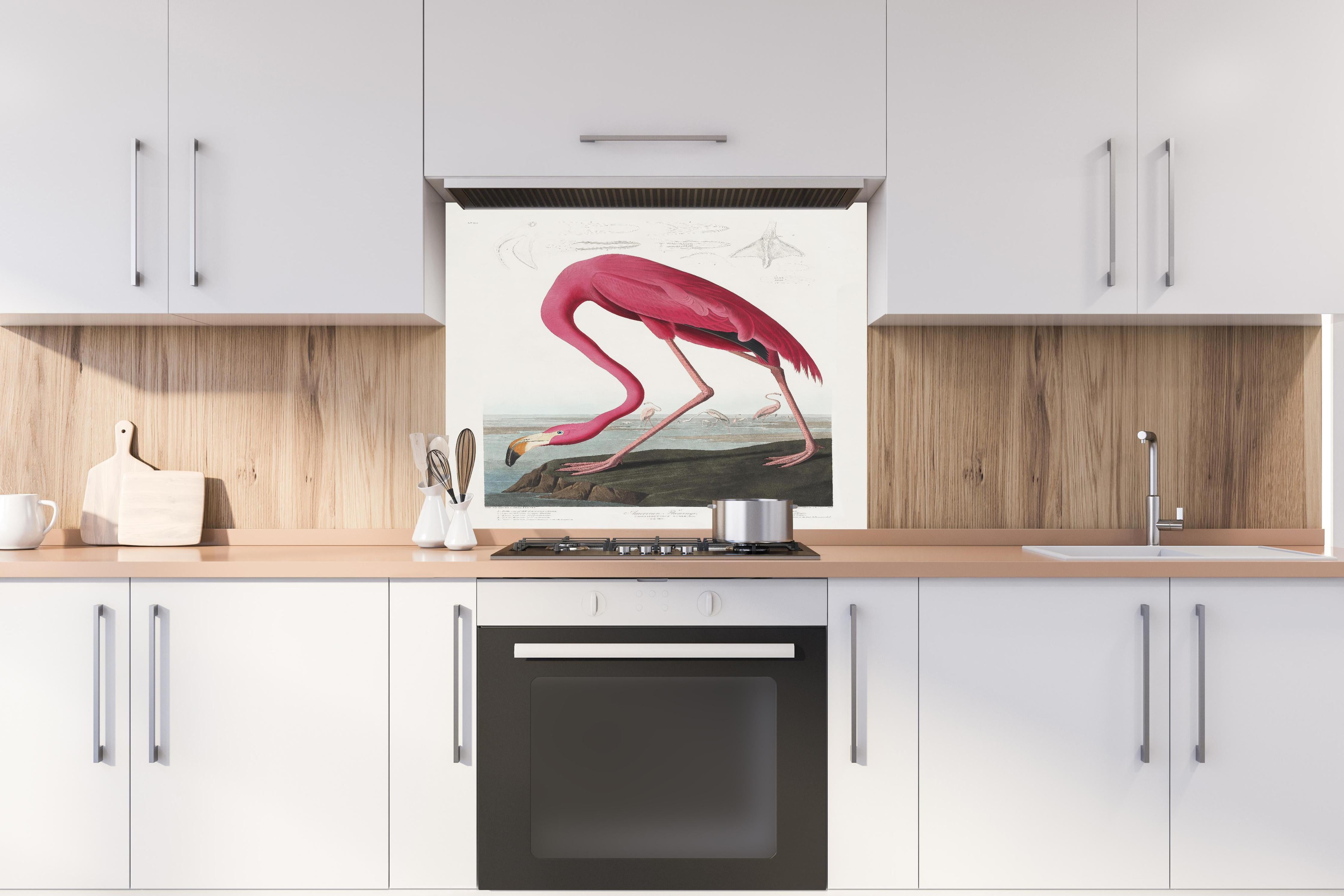Spritzschutz - Pinker Flamingo - John James Audubon hinter einem Cerankochfeld zwischen Holz-Kochutensilien
