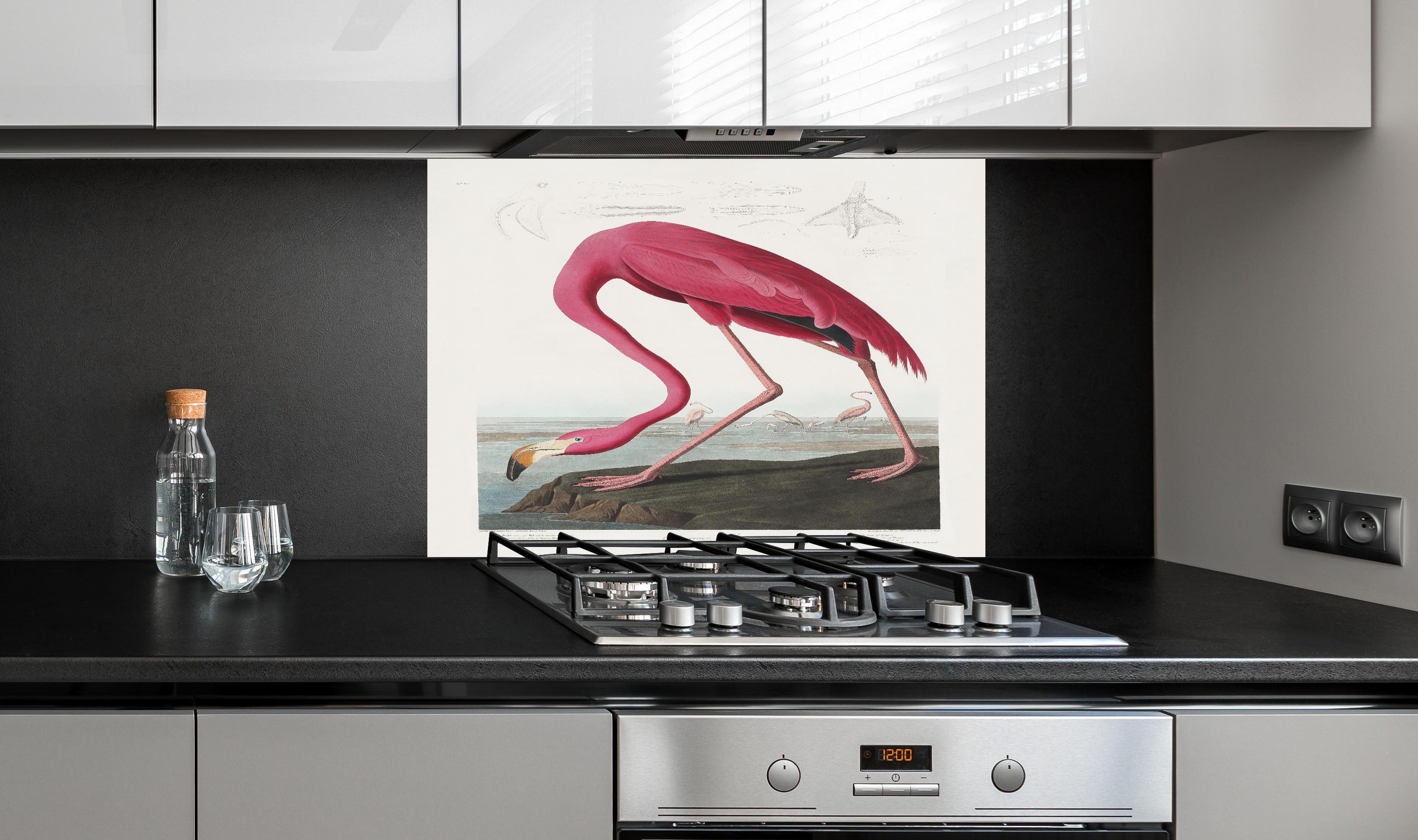 Spritzschutz - Pinker Flamingo - John James Audubon hinter einem Cerankochfeld zwischen Holz-Kochutensilien
