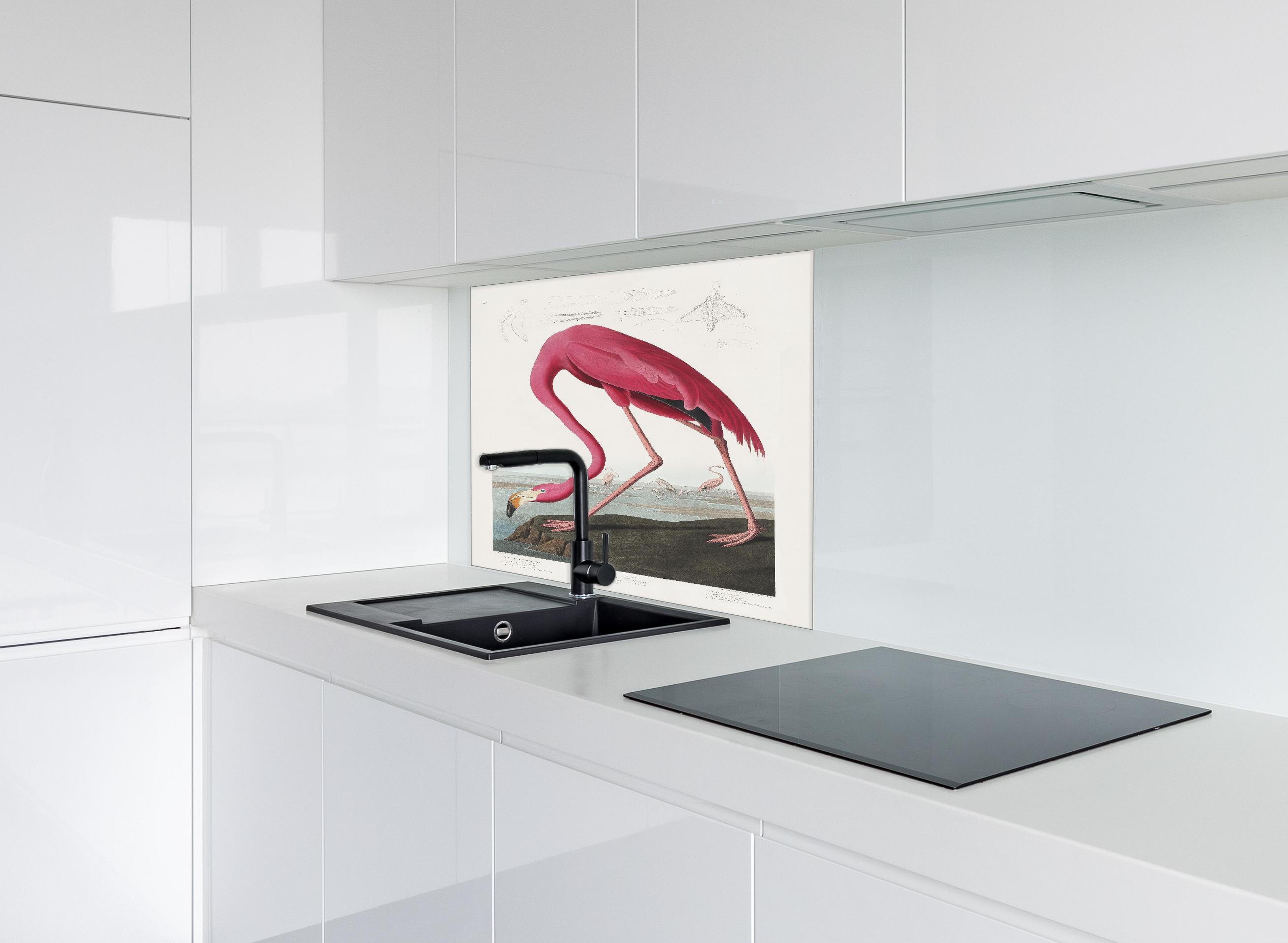 Spritzschutz - Pinker Flamingo - John James Audubon hinter einem Cerankochfeld zwischen Holz-Kochutensilien
