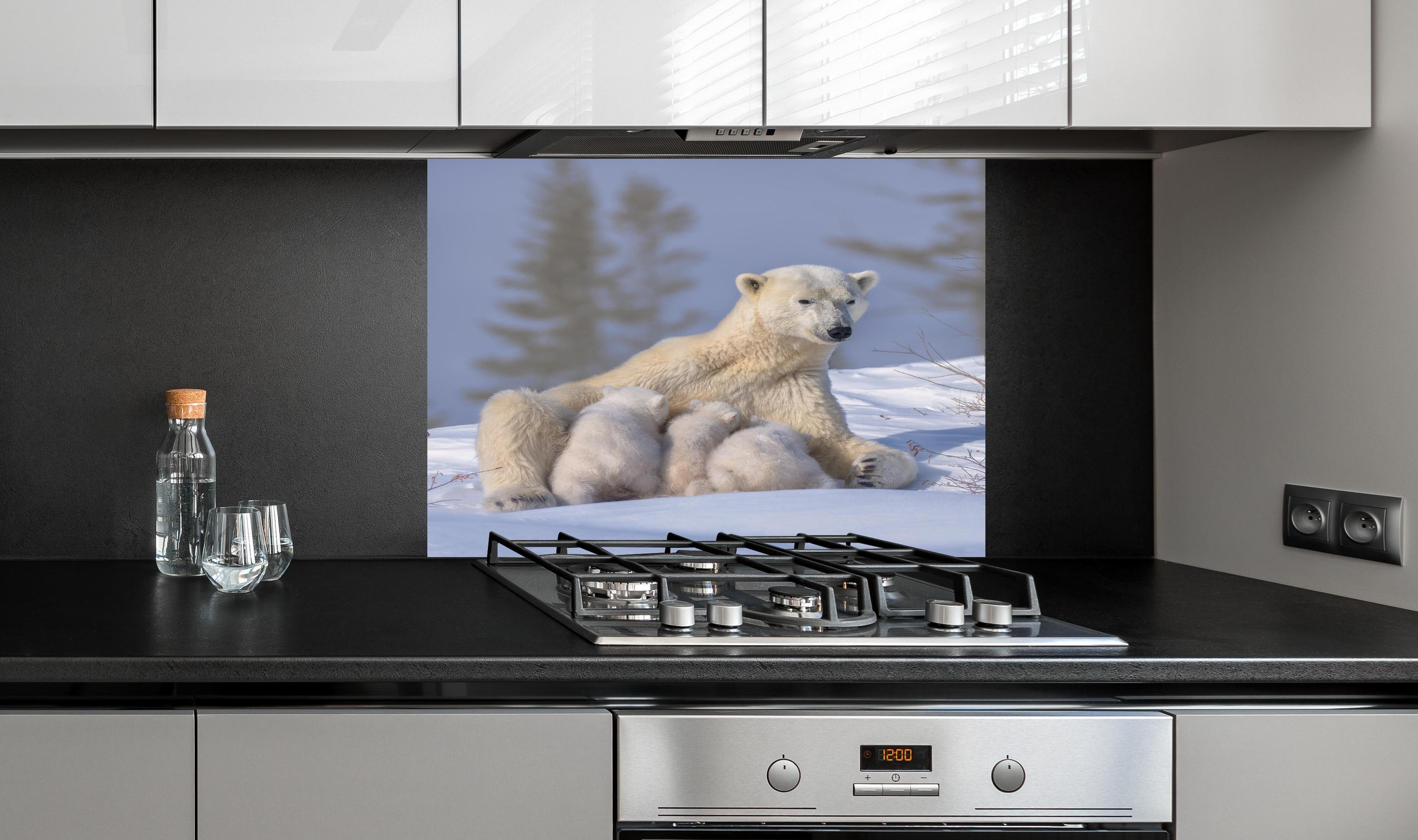 Spritzschutz - Polarbär Mama mit Drillingen, Schneewelt hinter einem Cerankochfeld zwischen Holz-Kochutensilien
