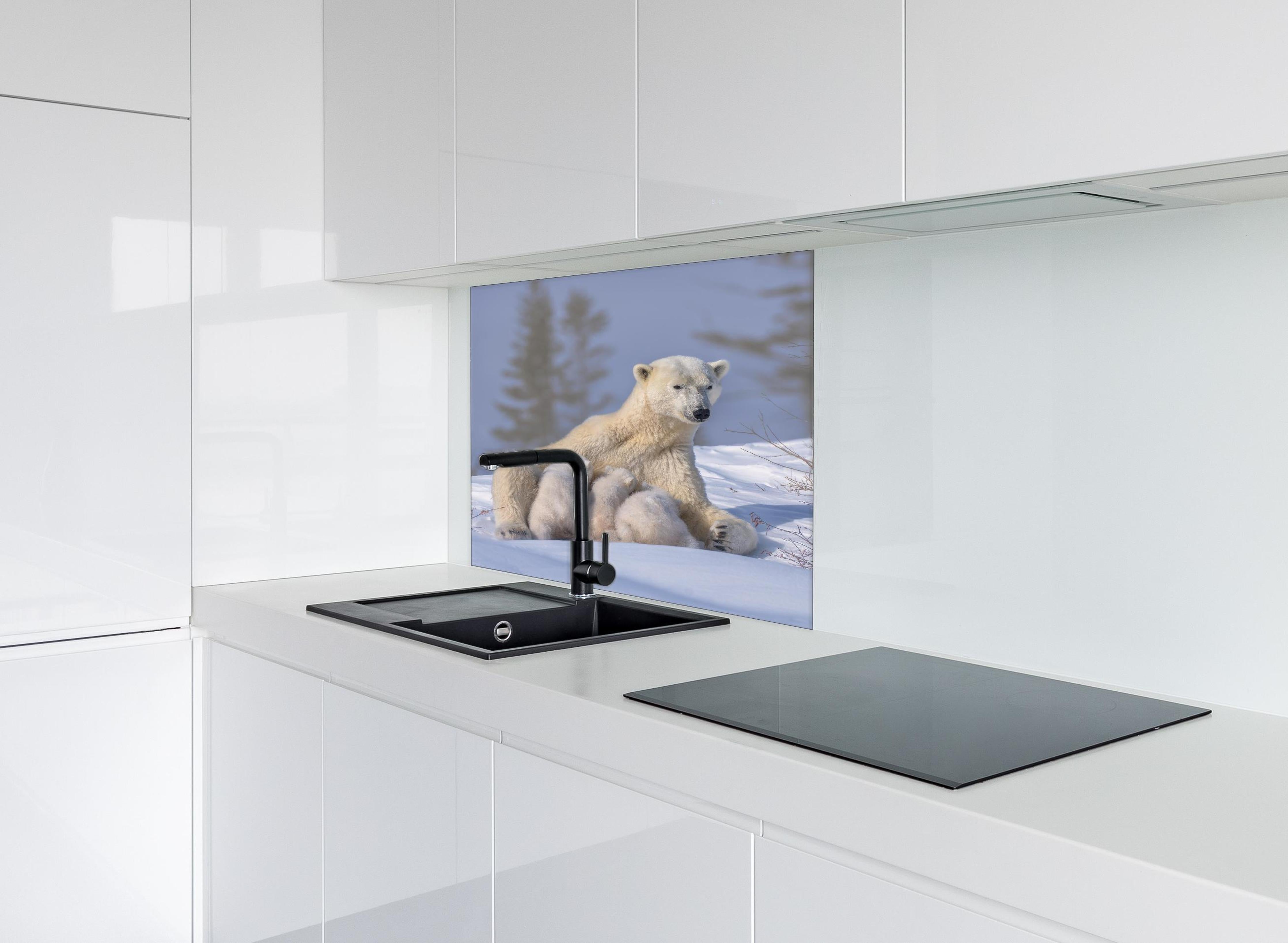 Spritzschutz - Polarbär Mama mit Drillingen, Schneewelt hinter einem Cerankochfeld zwischen Holz-Kochutensilien
