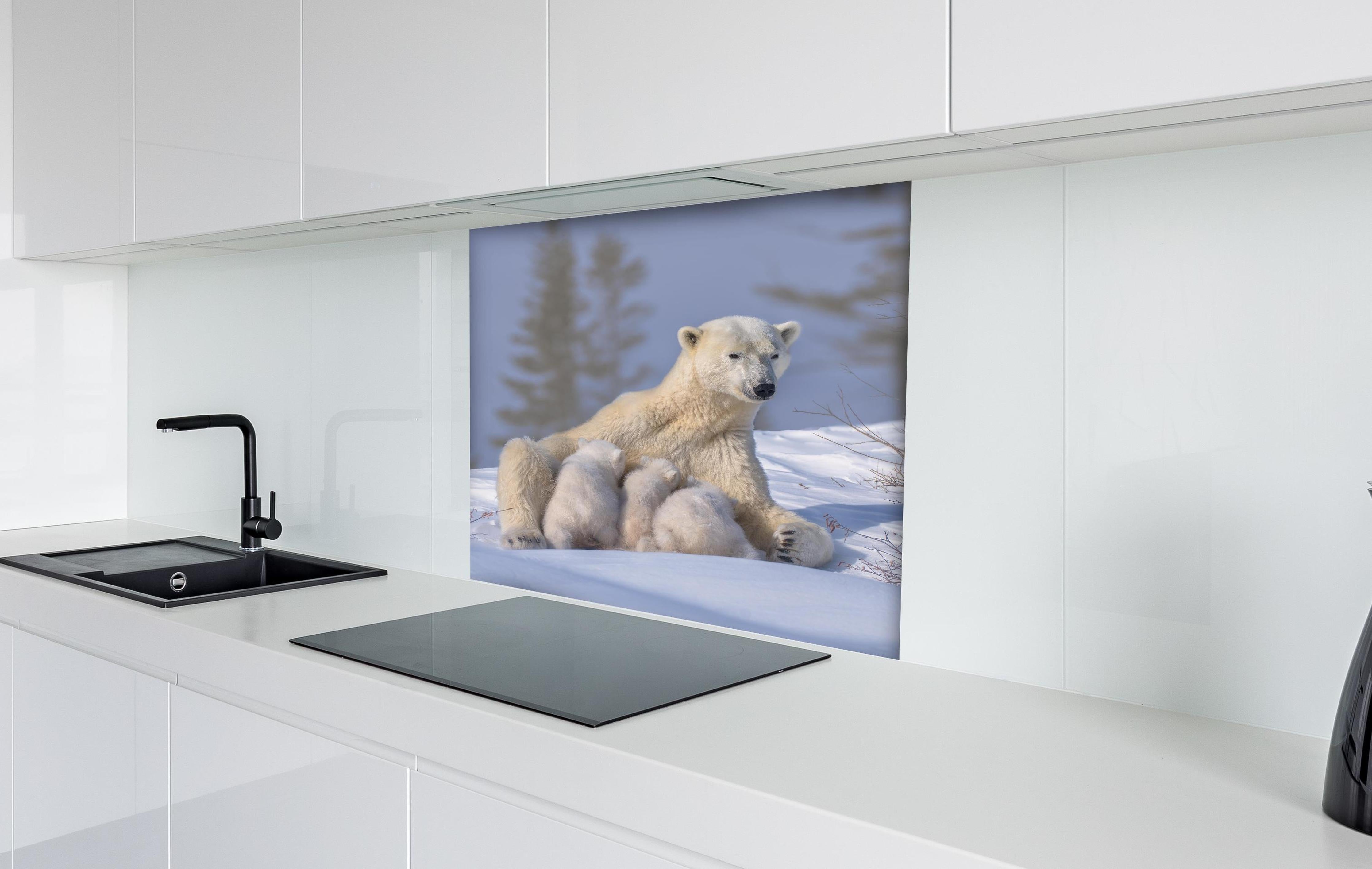 Spritzschutz - Polarbär Mama mit Drillingen, Schneewelt hinter einem Cerankochfeld zwischen Holz-Kochutensilien
