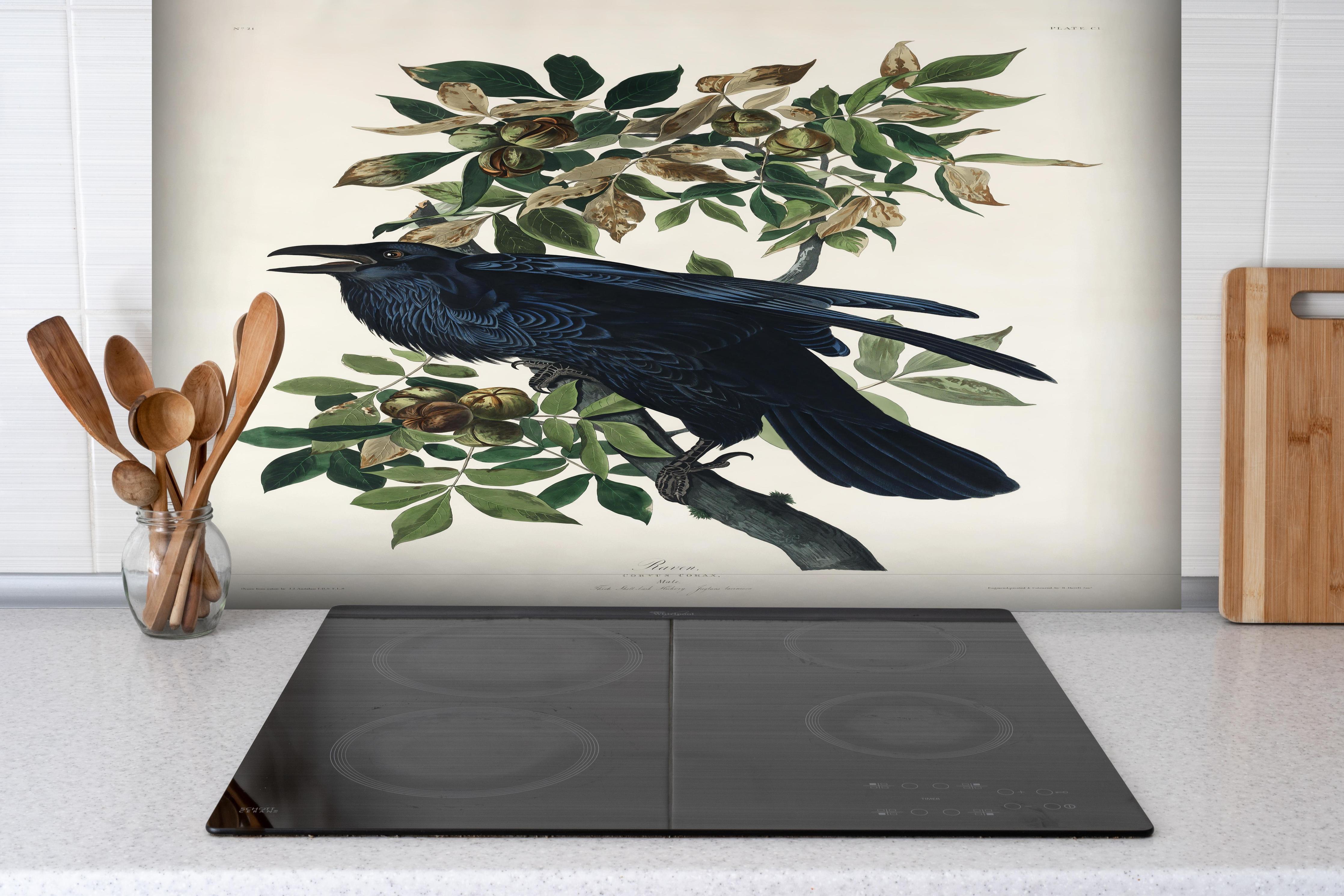 Spritzschutz - Raben Portrait - John James Audubon hinter einem Cerankochfeld zwischen Holz-Kochutensilien
