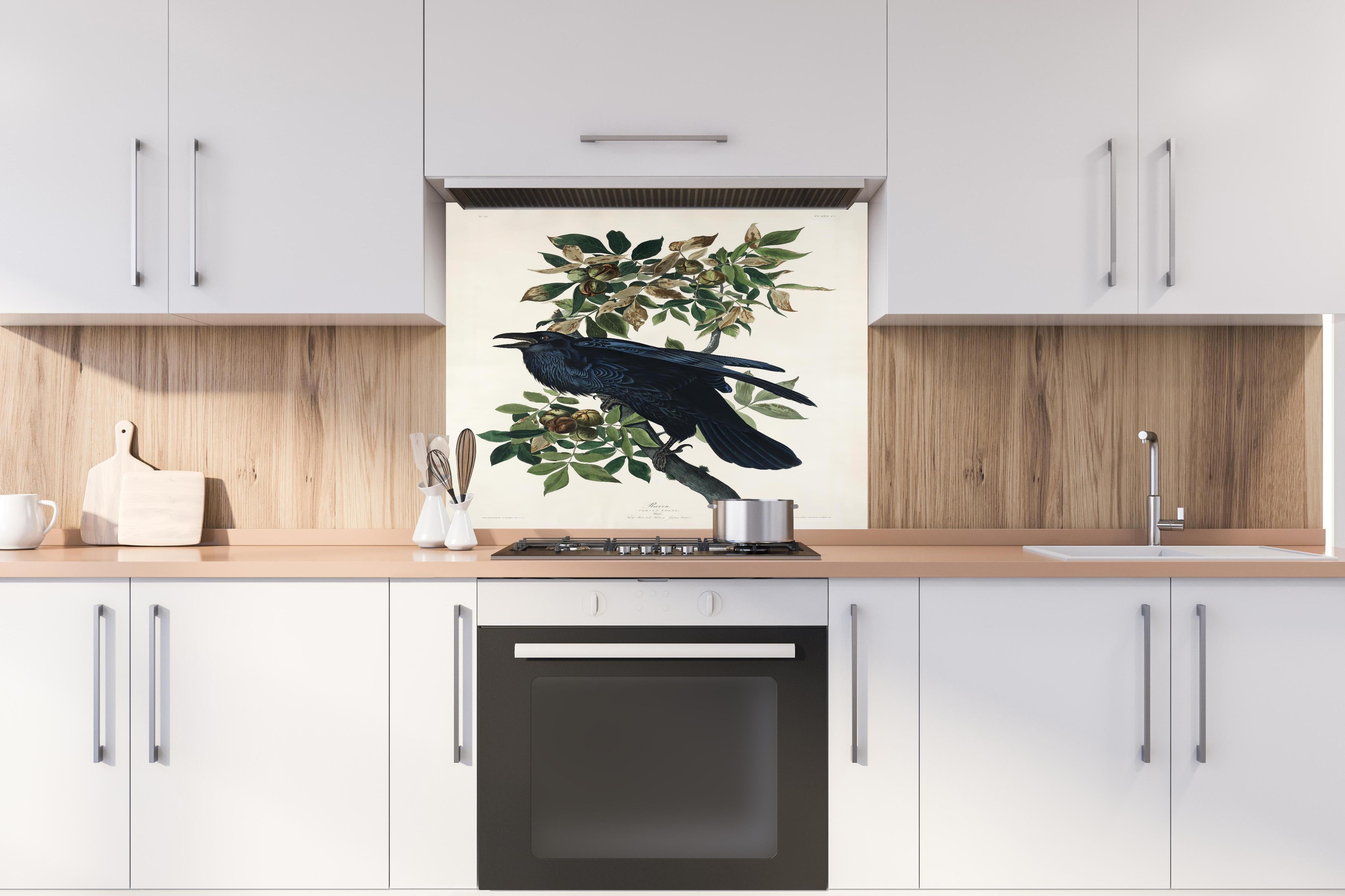 Spritzschutz - Raben Portrait - John James Audubon hinter einem Cerankochfeld zwischen Holz-Kochutensilien
