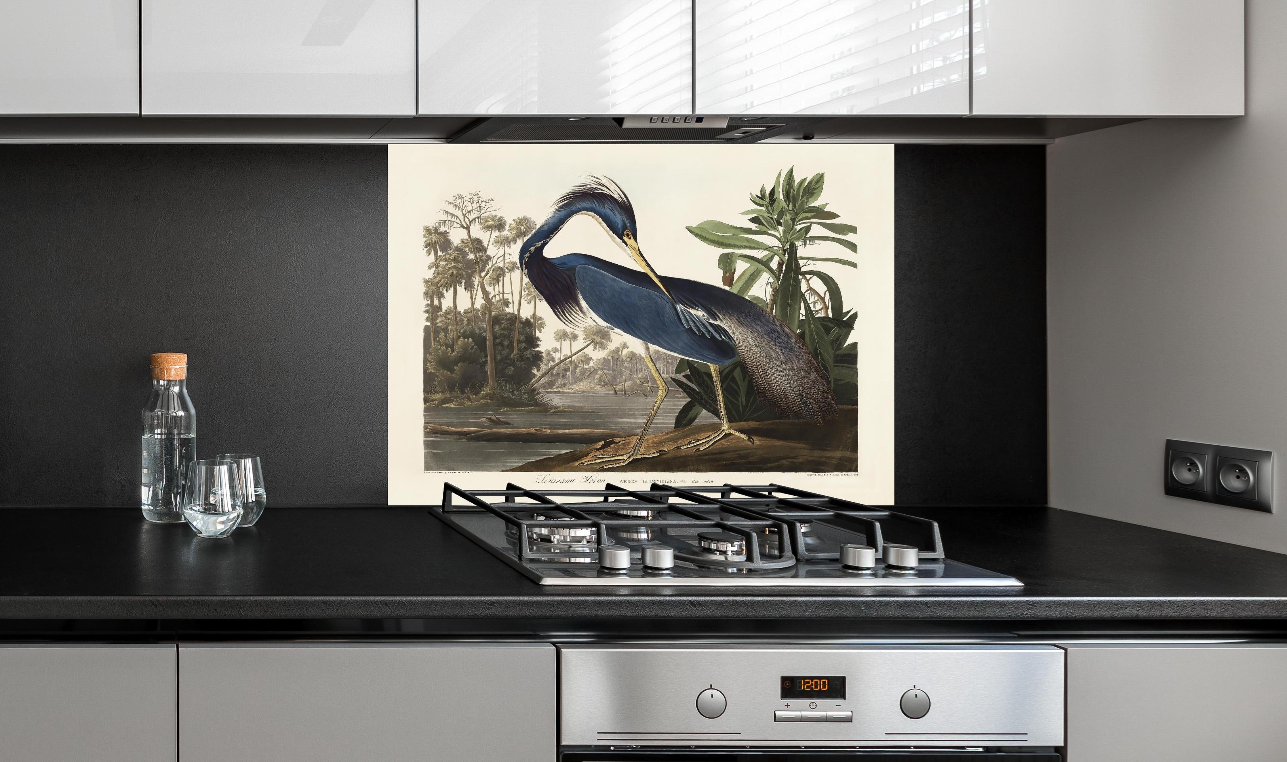 Spritzschutz - Reiher Portrait - John James Audubon hinter einem Cerankochfeld zwischen Holz-Kochutensilien
