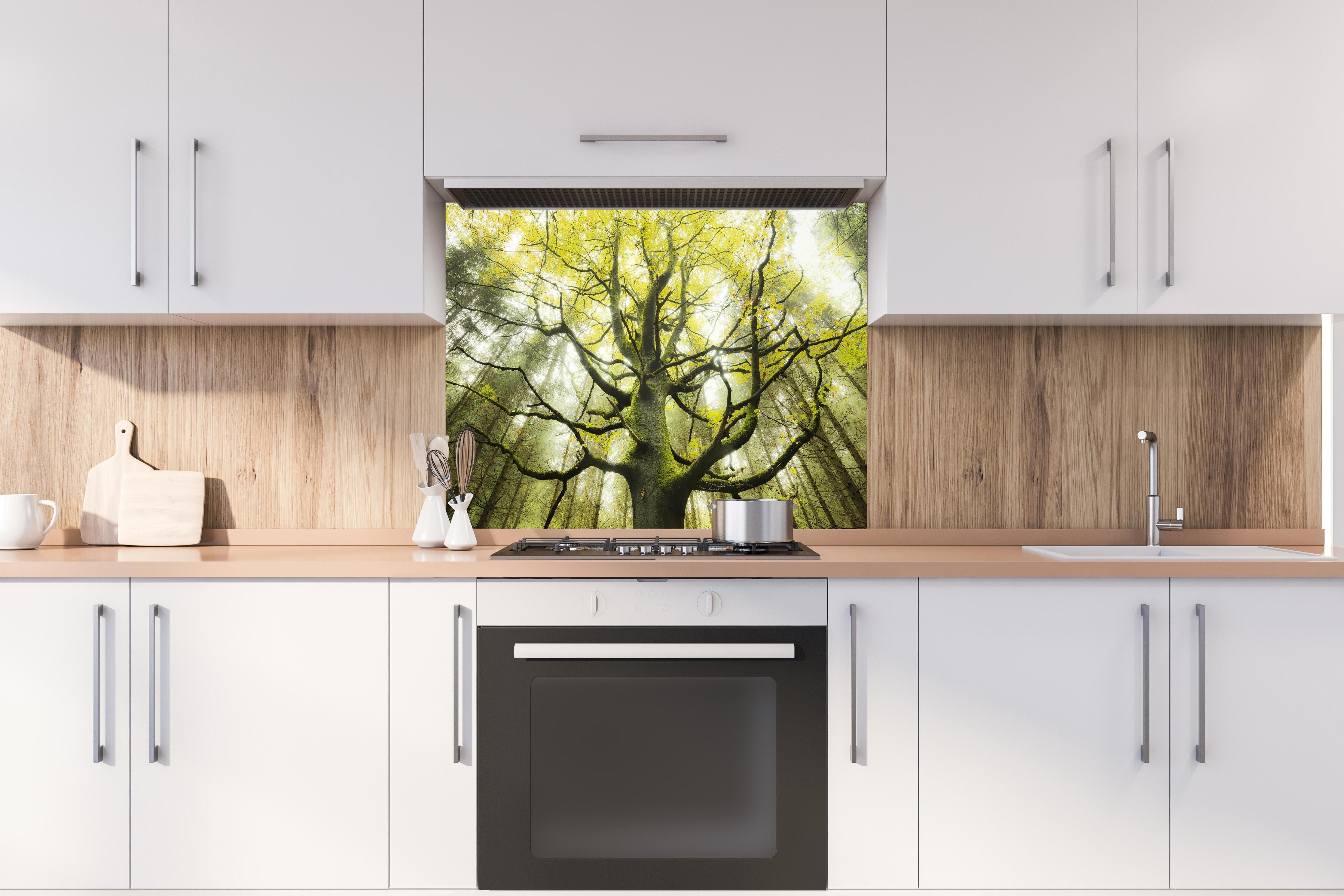 Spritzschutz - Riesiger Baum in Bayern hinter einem Cerankochfeld zwischen Holz-Kochutensilien
