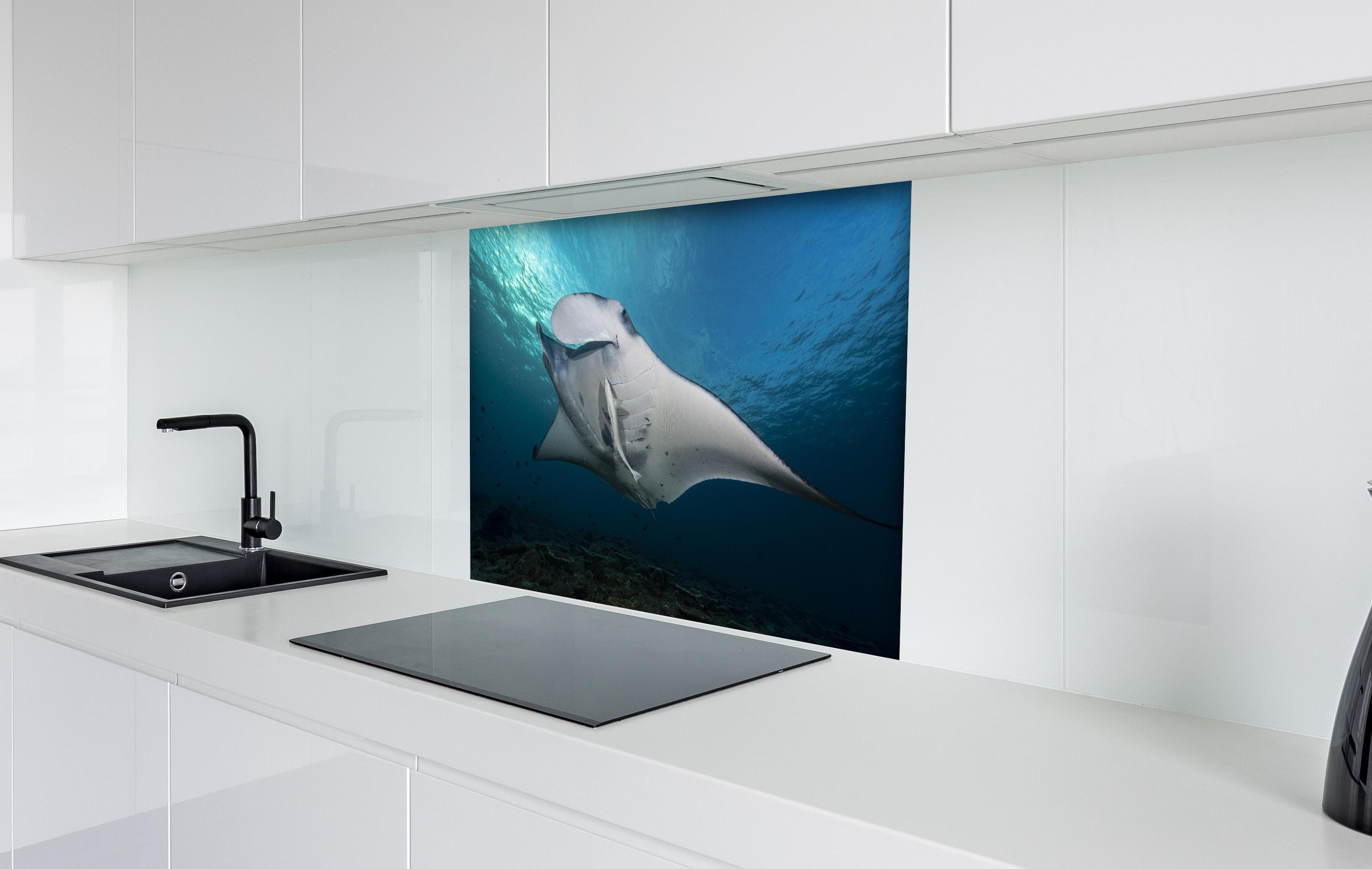 Spritzschutz - Riff-Manta Unterwasser hinter einem Cerankochfeld zwischen Holz-Kochutensilien
