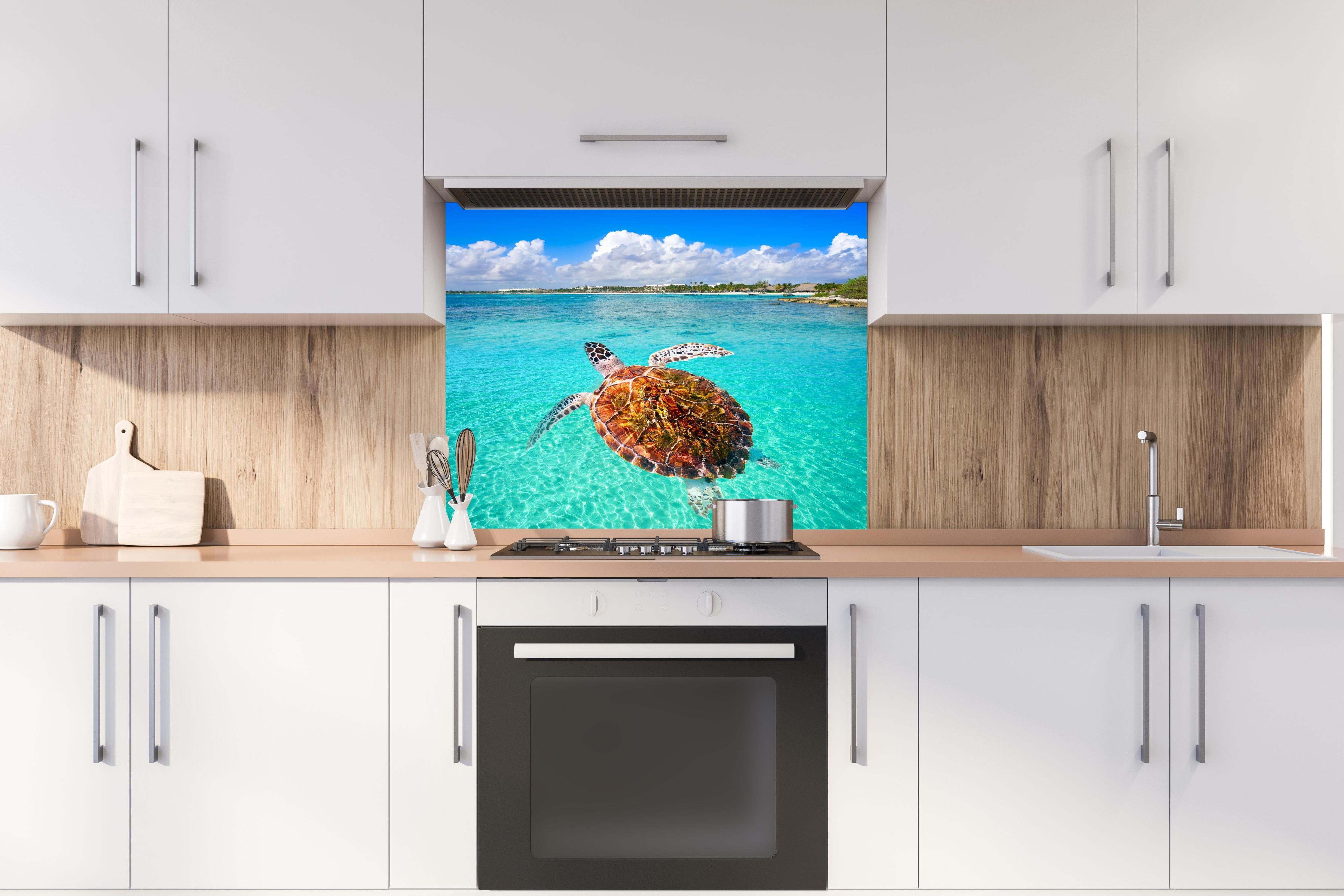 Spritzschutz - Riviera Maya - Mexico hinter einem Cerankochfeld zwischen Holz-Kochutensilien
