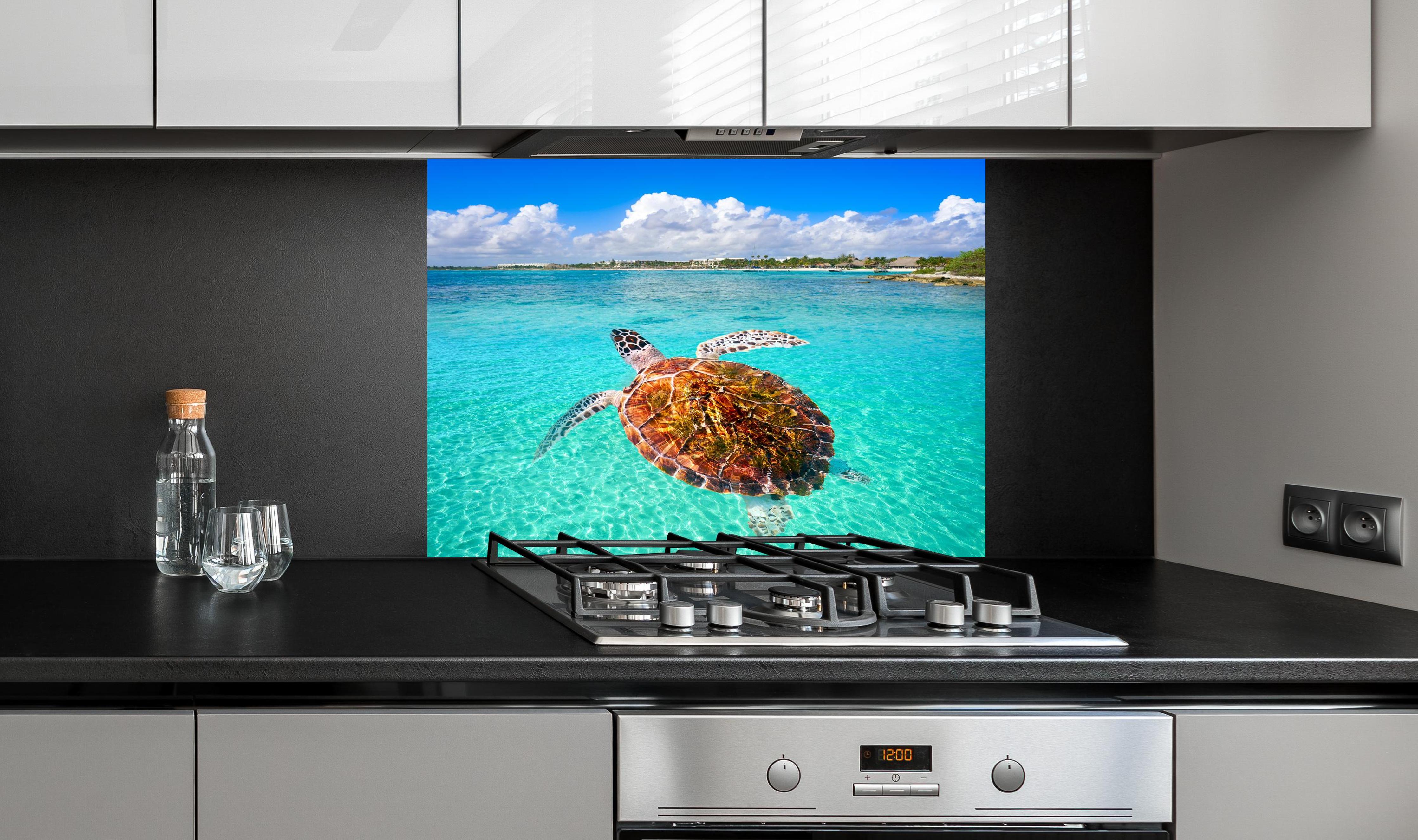 Spritzschutz - Riviera Maya - Mexico hinter einem Cerankochfeld zwischen Holz-Kochutensilien
