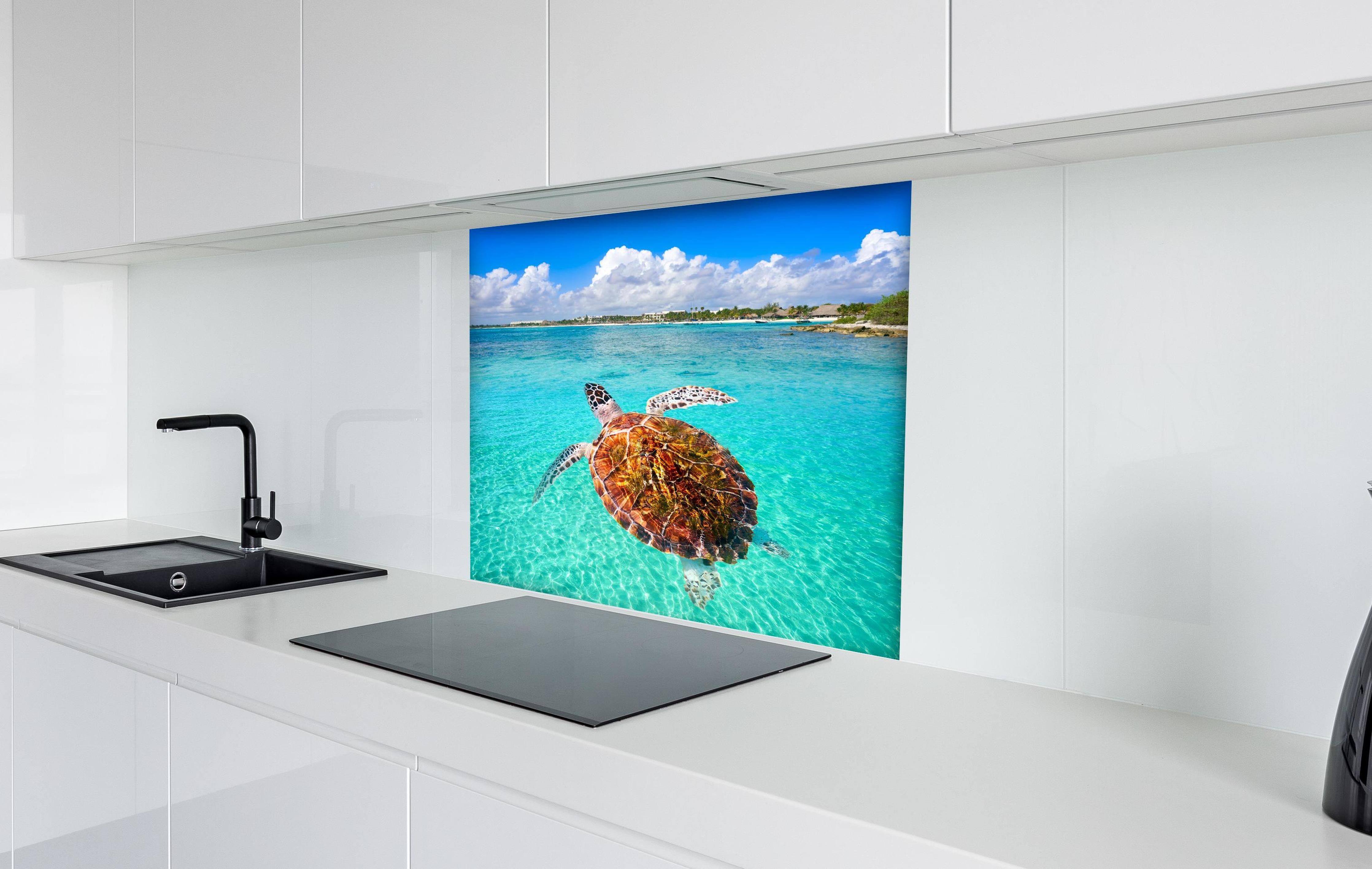 Spritzschutz - Riviera Maya - Mexico hinter einem Cerankochfeld zwischen Holz-Kochutensilien
