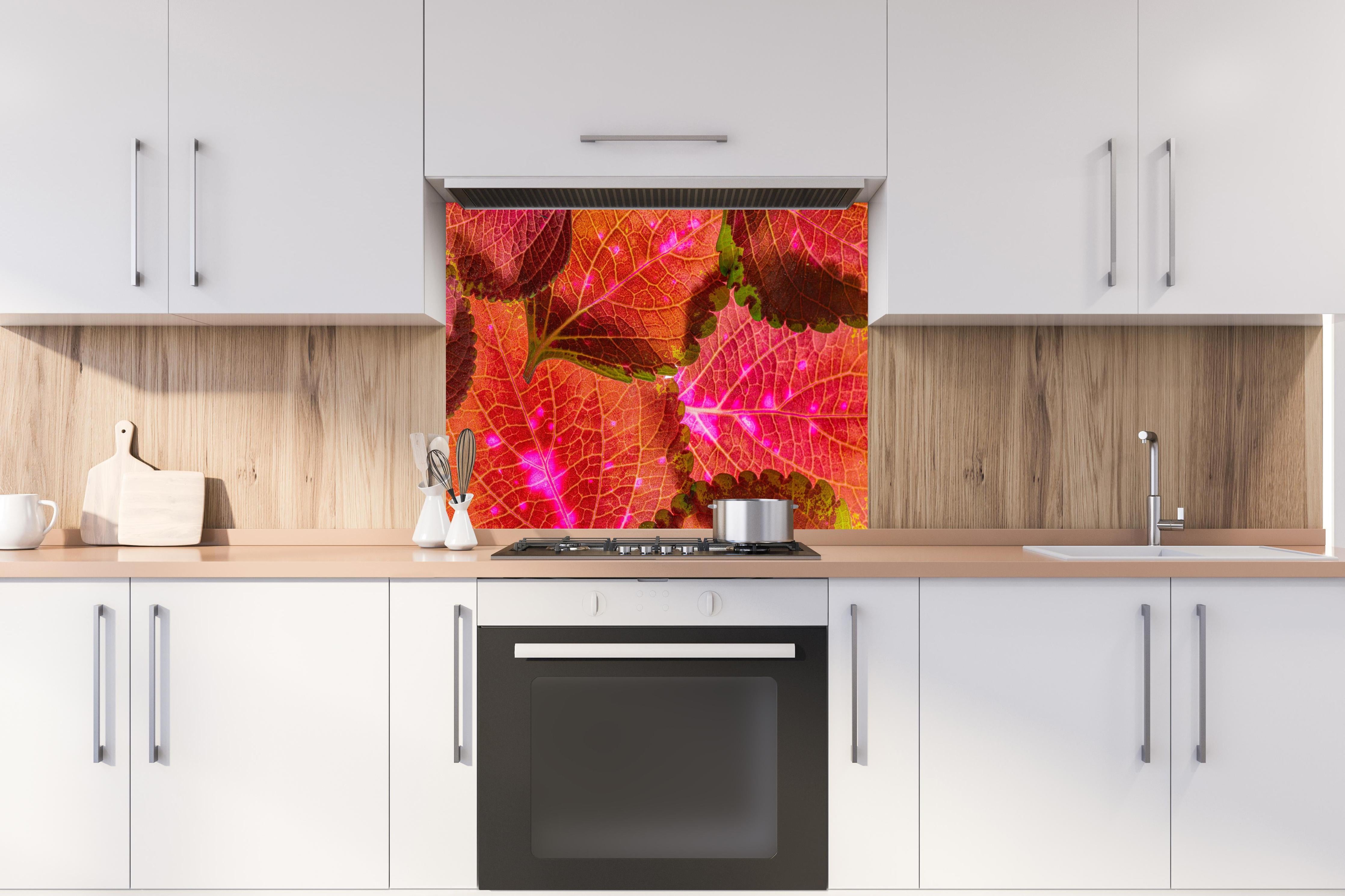 Spritzschutz - Rötliche Blätter im Detail hinter einem Cerankochfeld zwischen Holz-Kochutensilien
