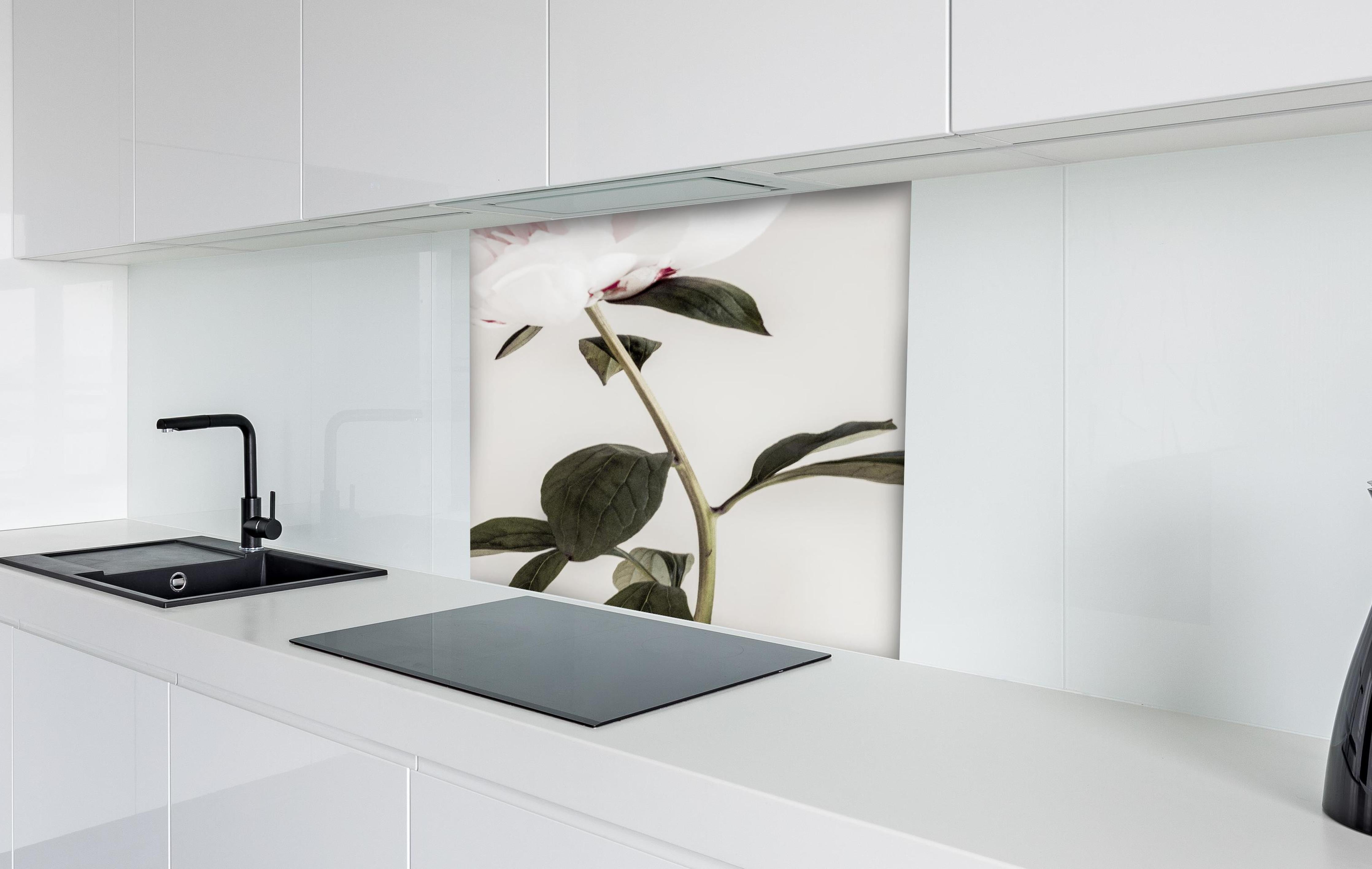 Spritzschutz - Rosa Pfingstrose - Nahaufnahme  hinter einem Cerankochfeld zwischen Holz-Kochutensilien
