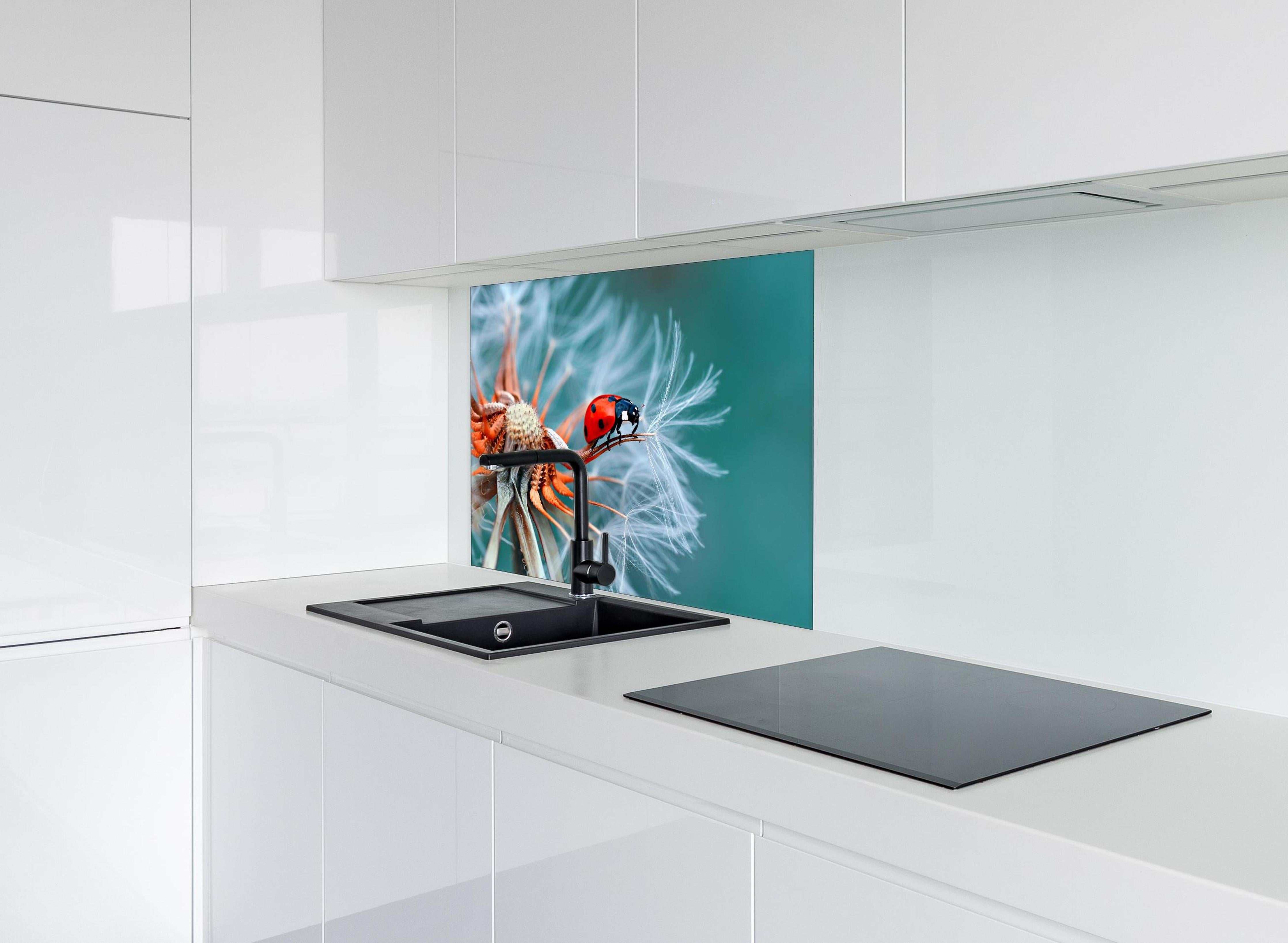 Spritzschutz - Roter Marienkäfer auf weißer Pusteblume hinter einem Cerankochfeld zwischen Holz-Kochutensilien
