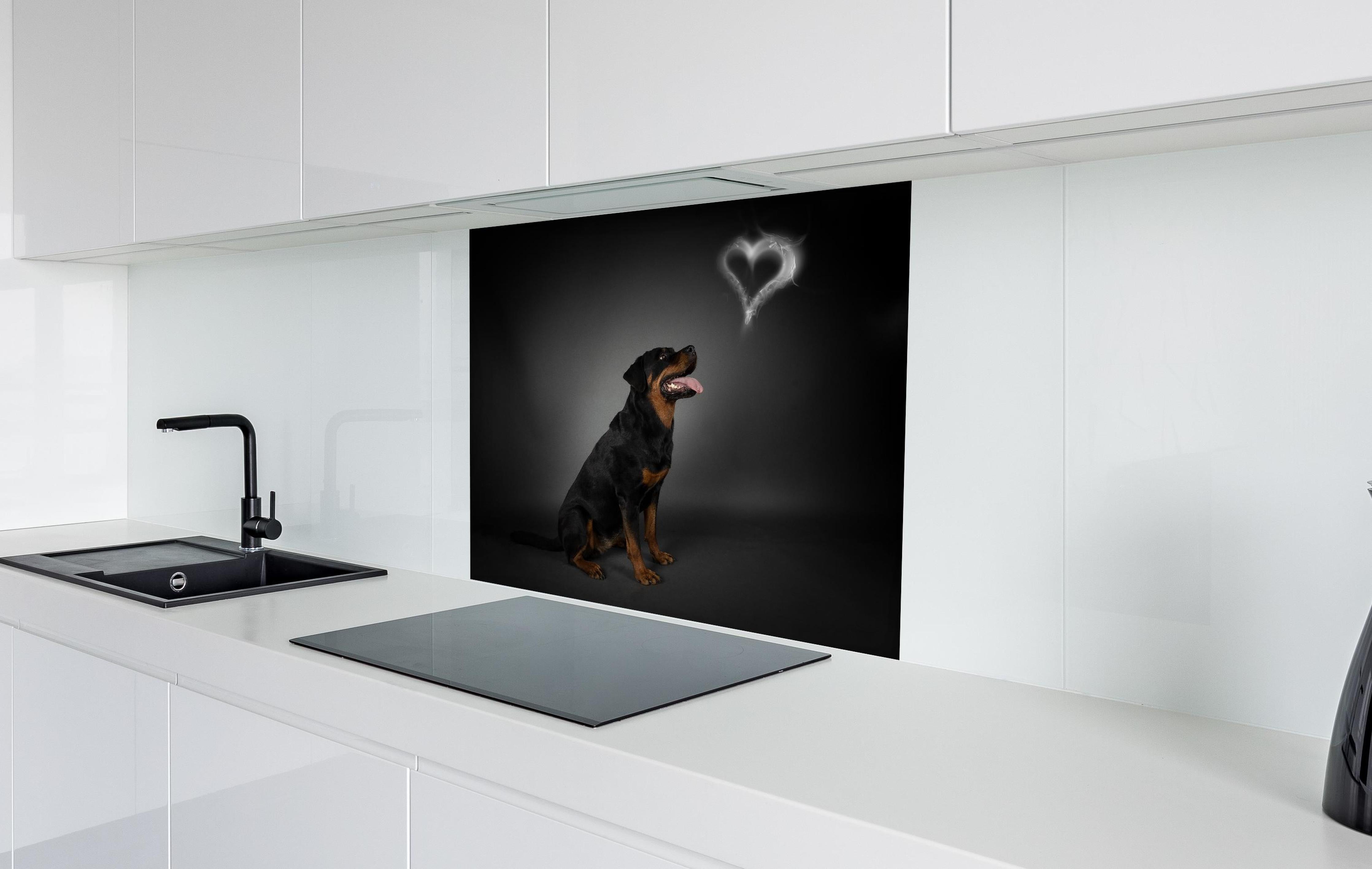 Spritzschutz - Rottweiler sitzend mit Blick auf Herz hinter einem Cerankochfeld zwischen Holz-Kochutensilien
