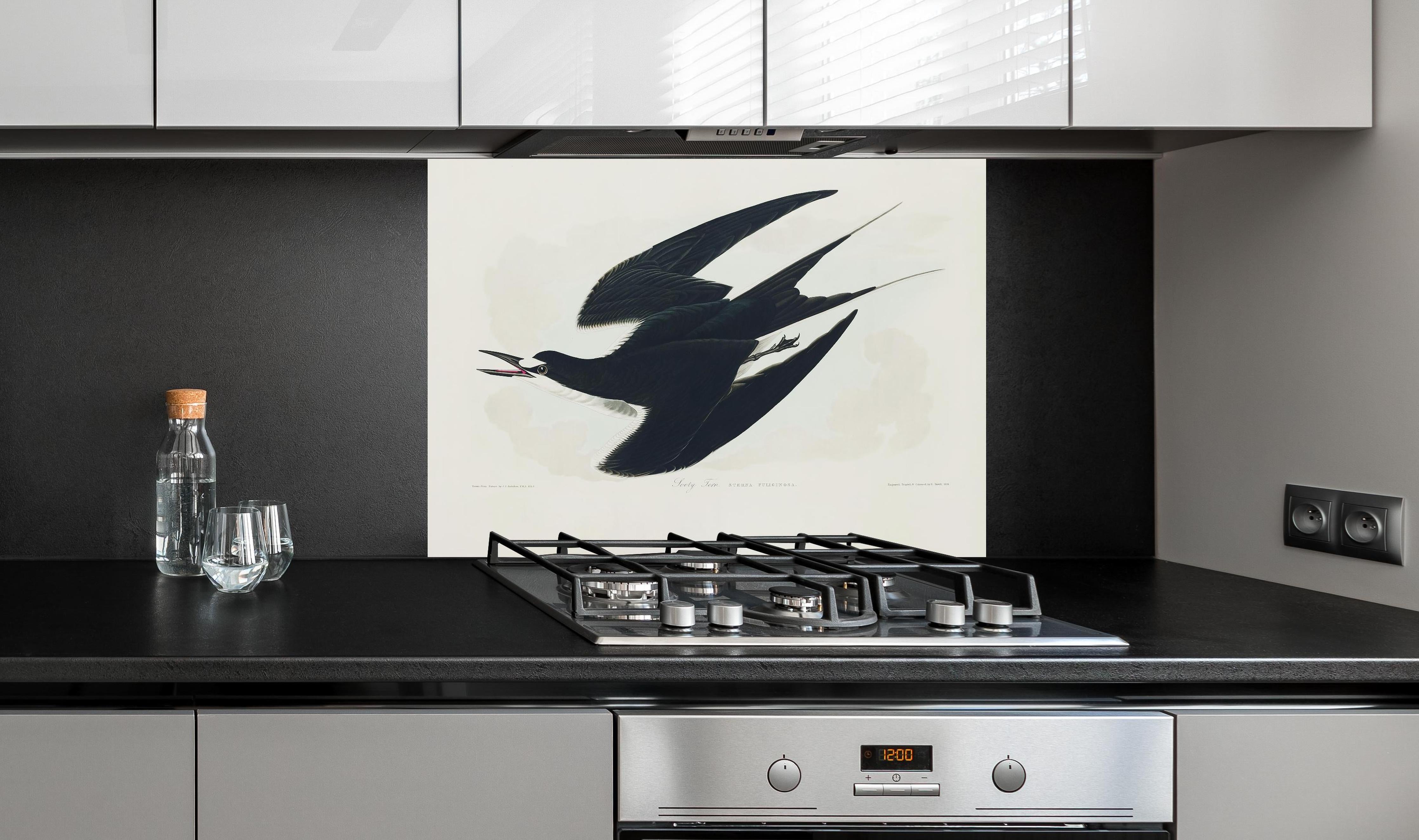 Spritzschutz - Rußseeschwalbe Portrait - John James Audubon hinter einem Cerankochfeld zwischen Holz-Kochutensilien
