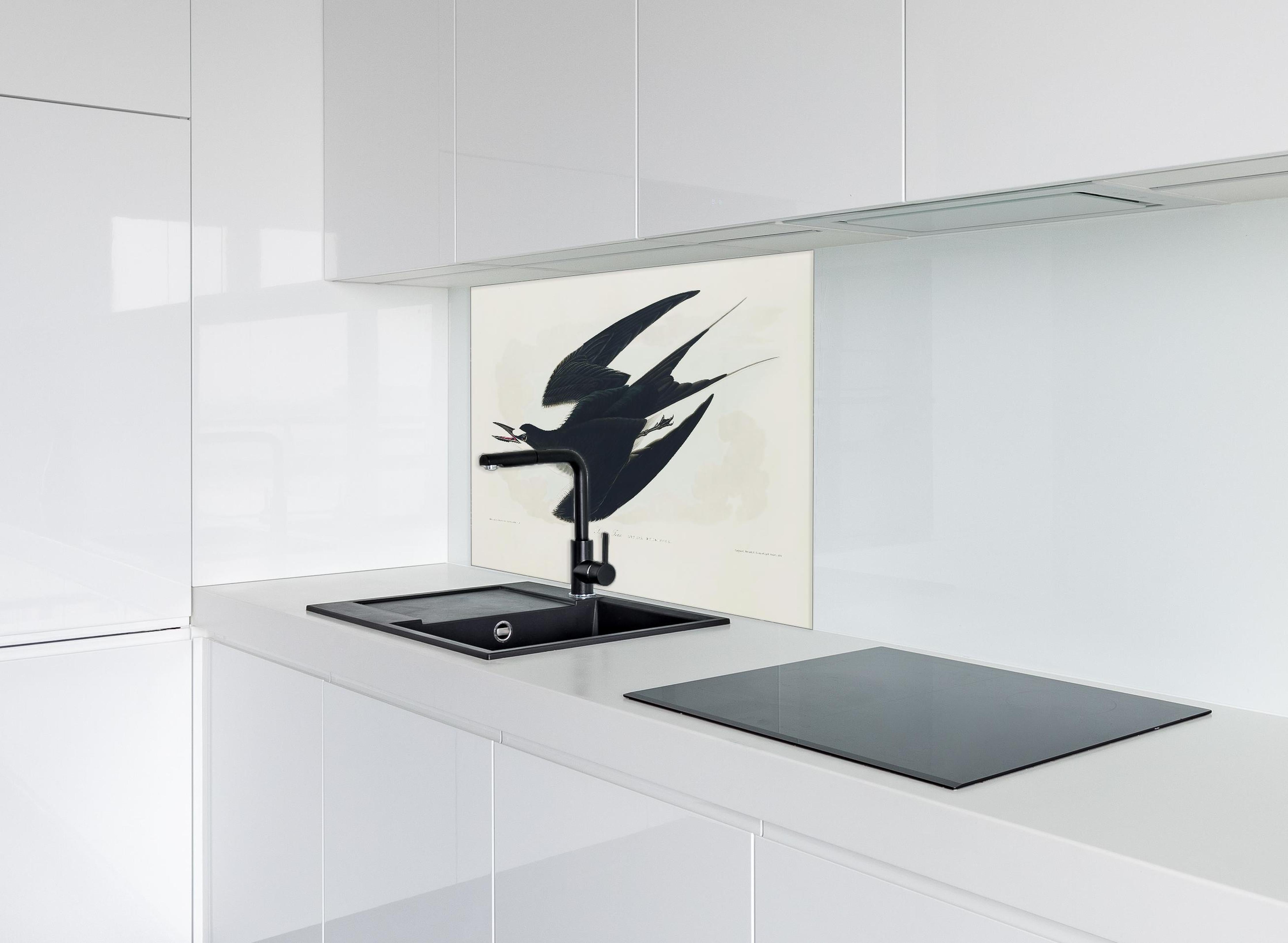 Spritzschutz - Rußseeschwalbe Portrait - John James Audubon hinter einem Cerankochfeld zwischen Holz-Kochutensilien
