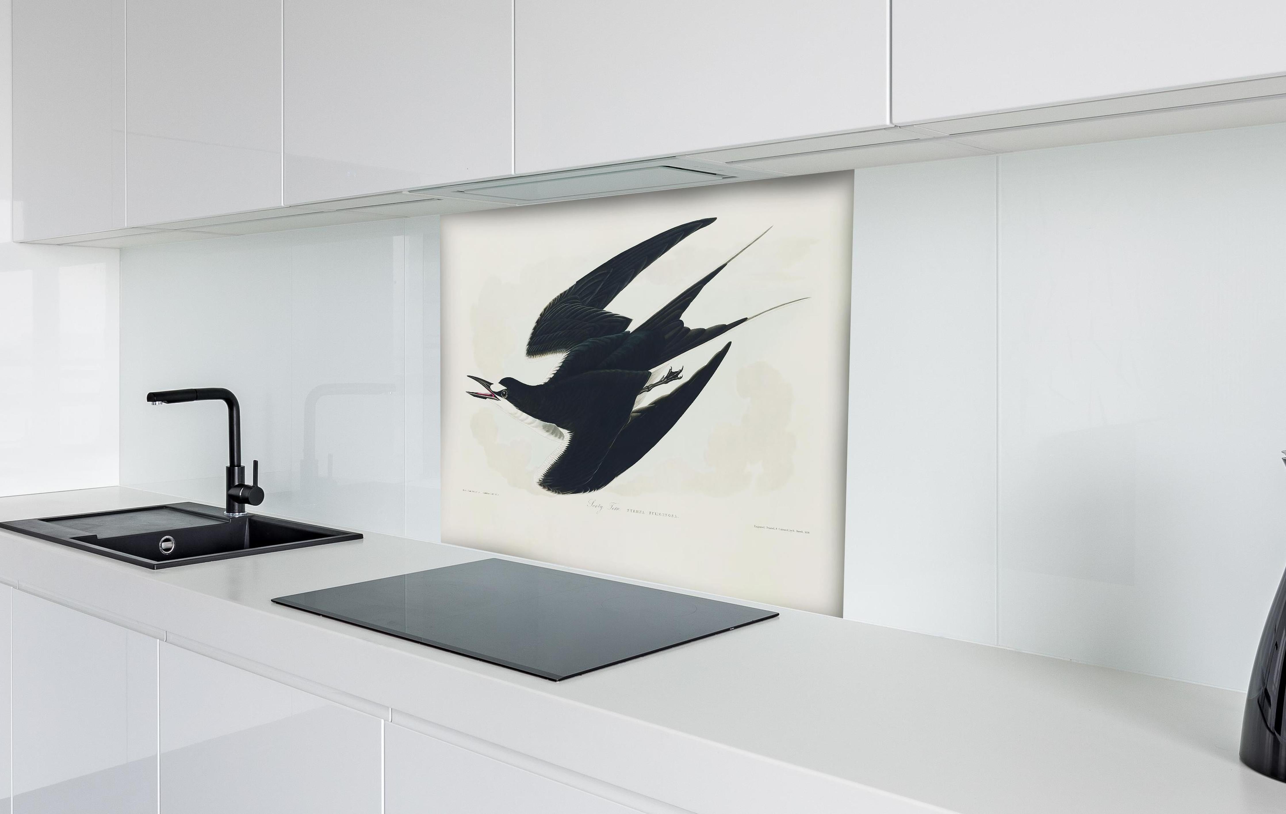 Spritzschutz - Rußseeschwalbe Portrait - John James Audubon hinter einem Cerankochfeld zwischen Holz-Kochutensilien
