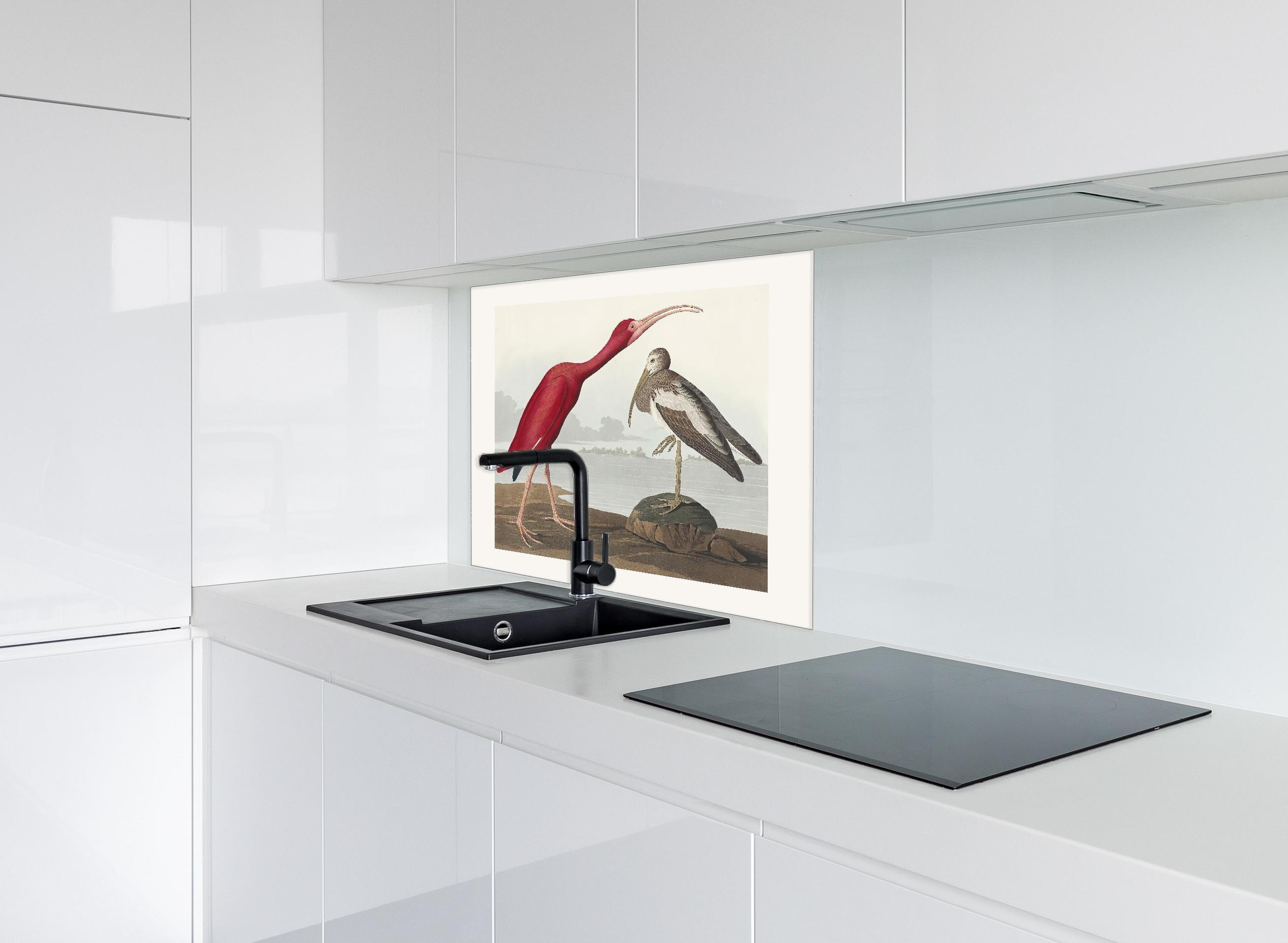 Spritzschutz - Scharlachsichler Portrait - John James Audubon hinter einem Cerankochfeld zwischen Holz-Kochutensilien
