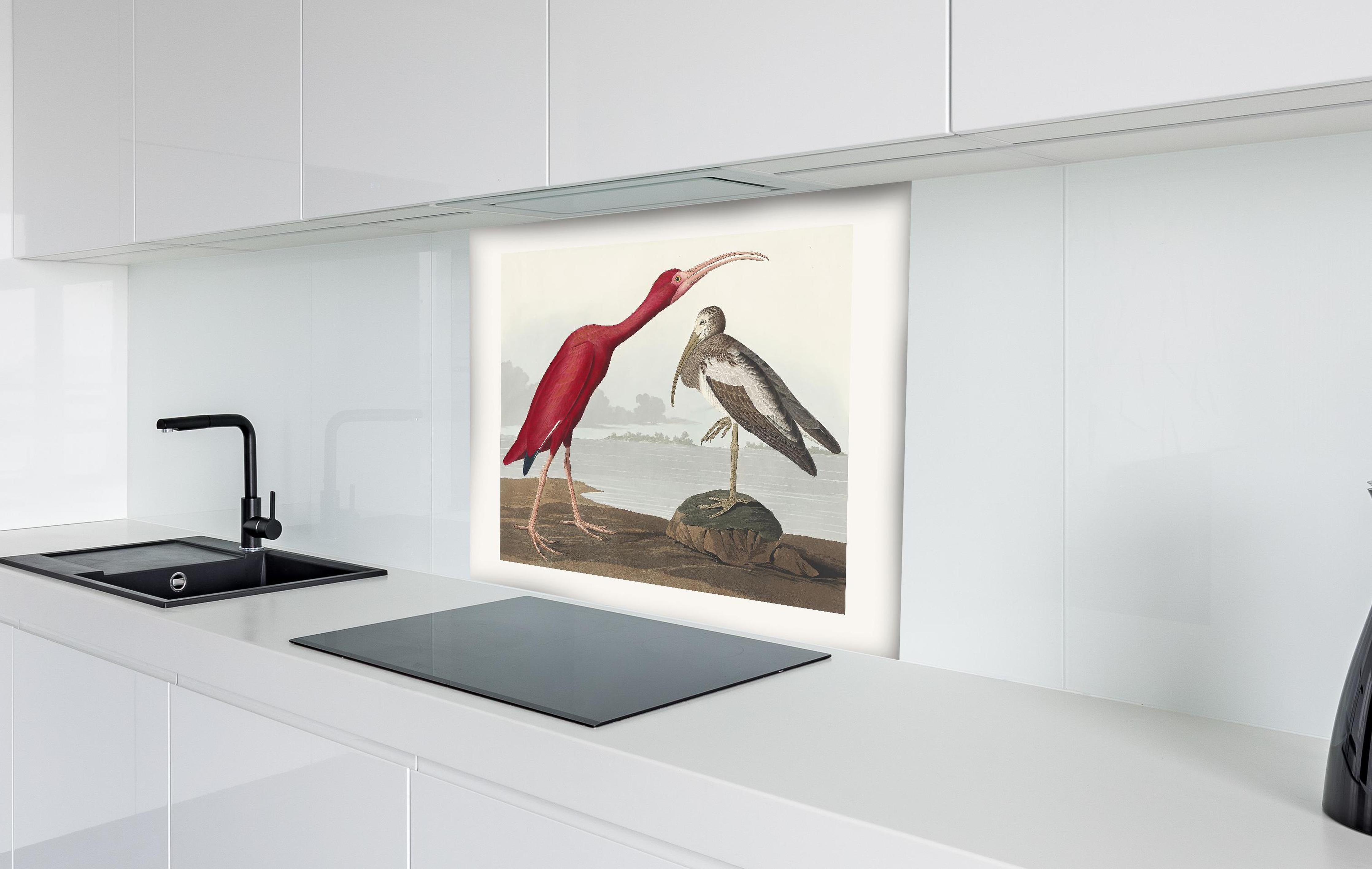 Spritzschutz - Scharlachsichler Portrait - John James Audubon hinter einem Cerankochfeld zwischen Holz-Kochutensilien
