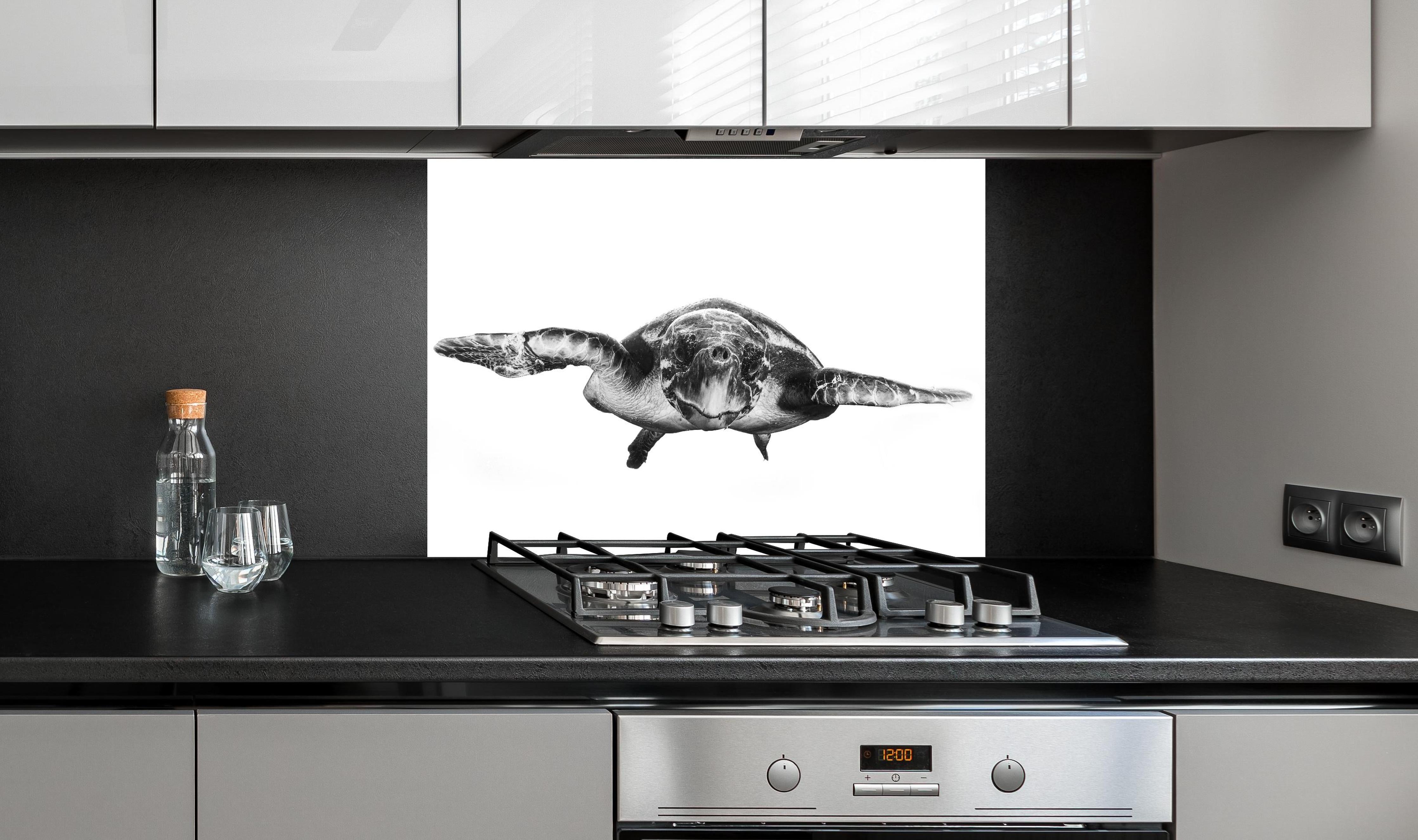 Spritzschutz - Schildkröte hinter einem Cerankochfeld zwischen Holz-Kochutensilien
