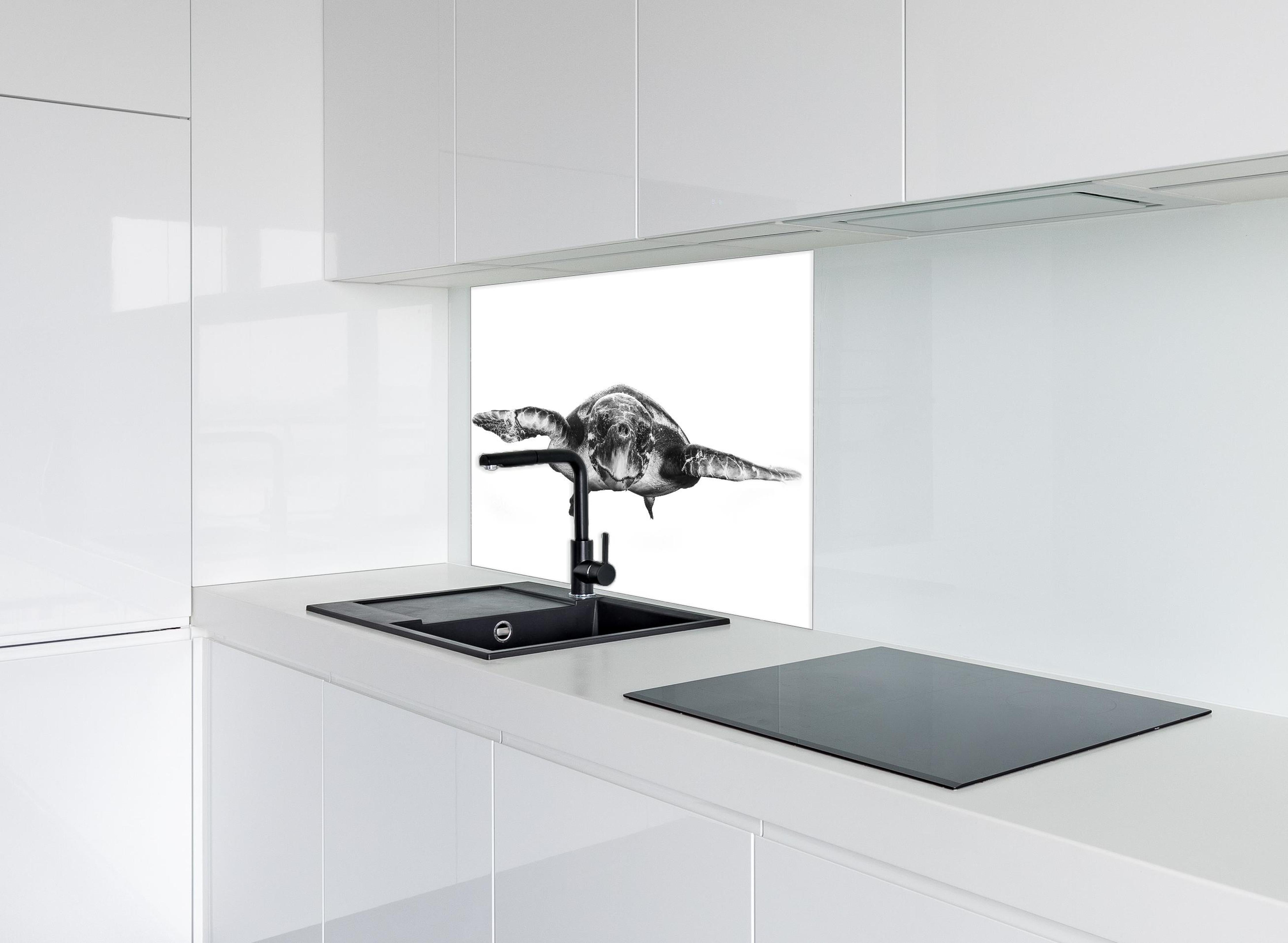 Spritzschutz - Schildkröte hinter einem Cerankochfeld zwischen Holz-Kochutensilien
