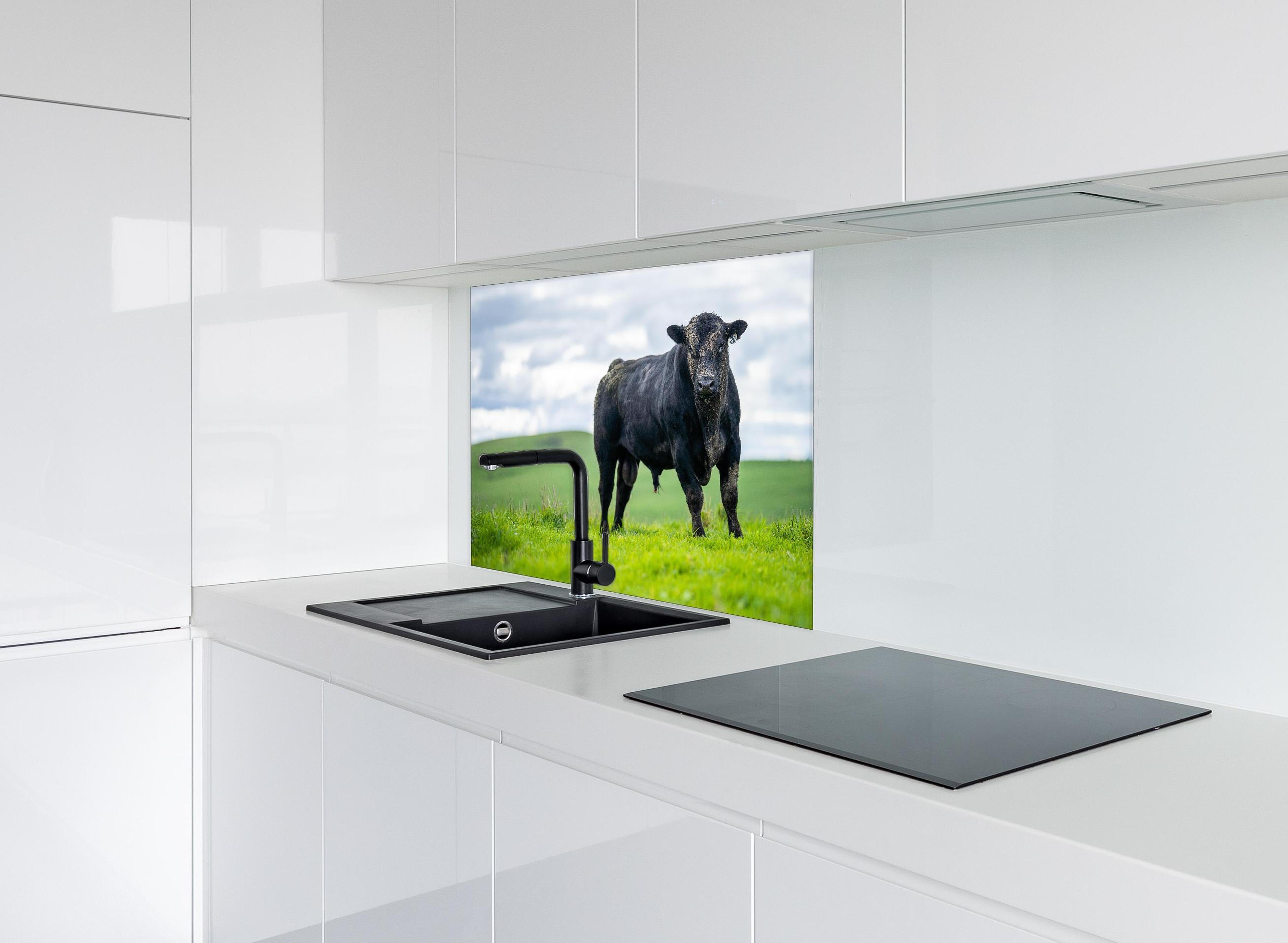 Spritzschutz - Schmutziger Aberdeen Angus hinter einem Cerankochfeld zwischen Holz-Kochutensilien
