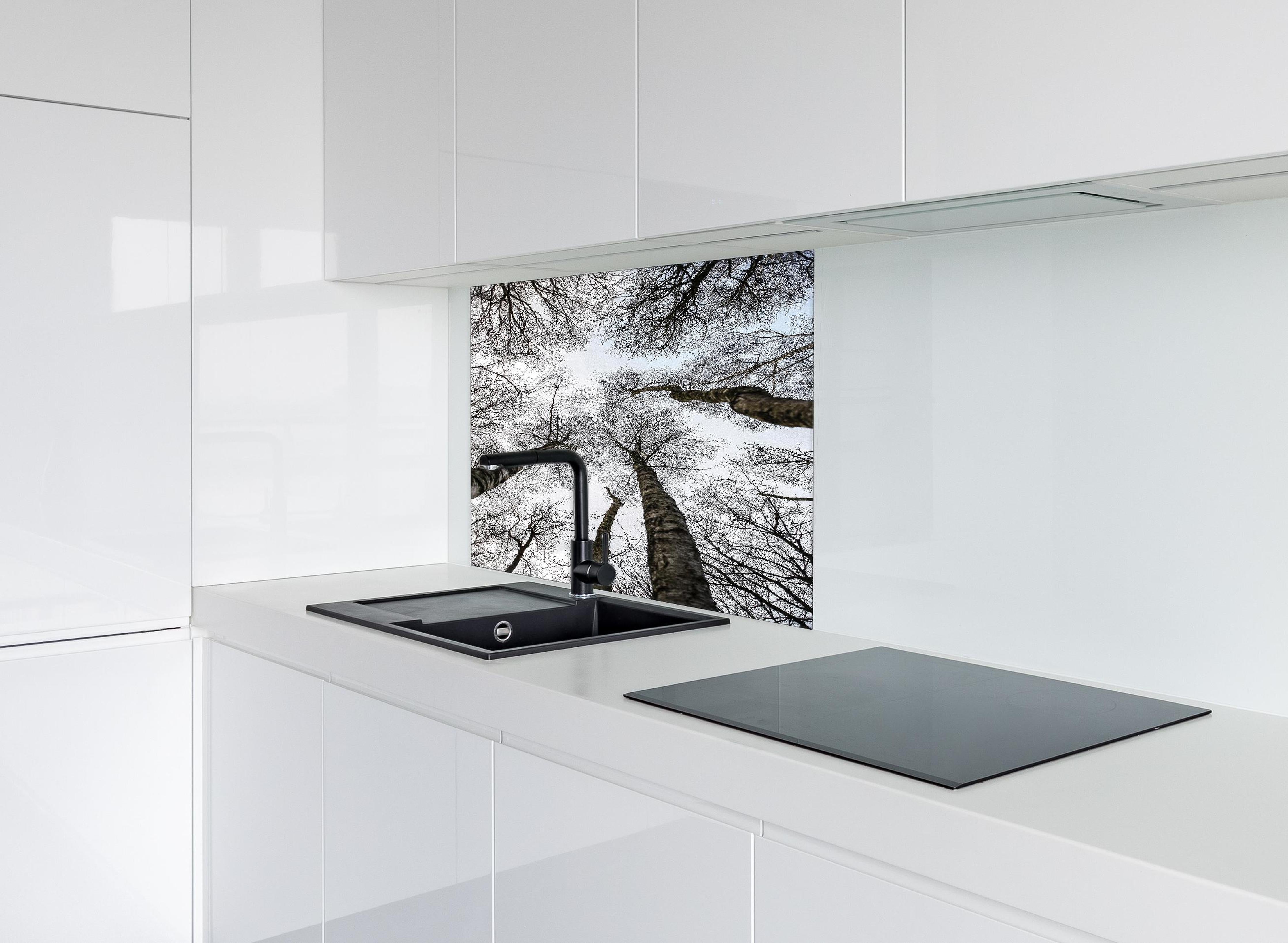 Spritzschutz - Schnee Wald hinter einem Cerankochfeld zwischen Holz-Kochutensilien
