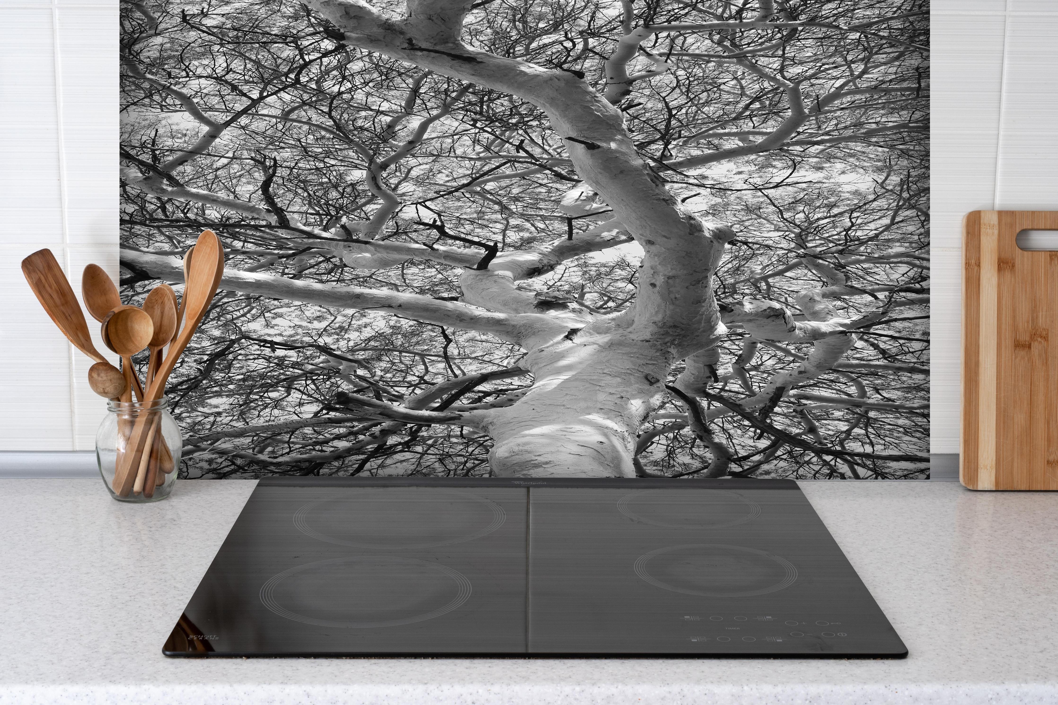 Spritzschutz - Schneeüberdeckte Baumkrone hinter einem Cerankochfeld zwischen Holz-Kochutensilien
