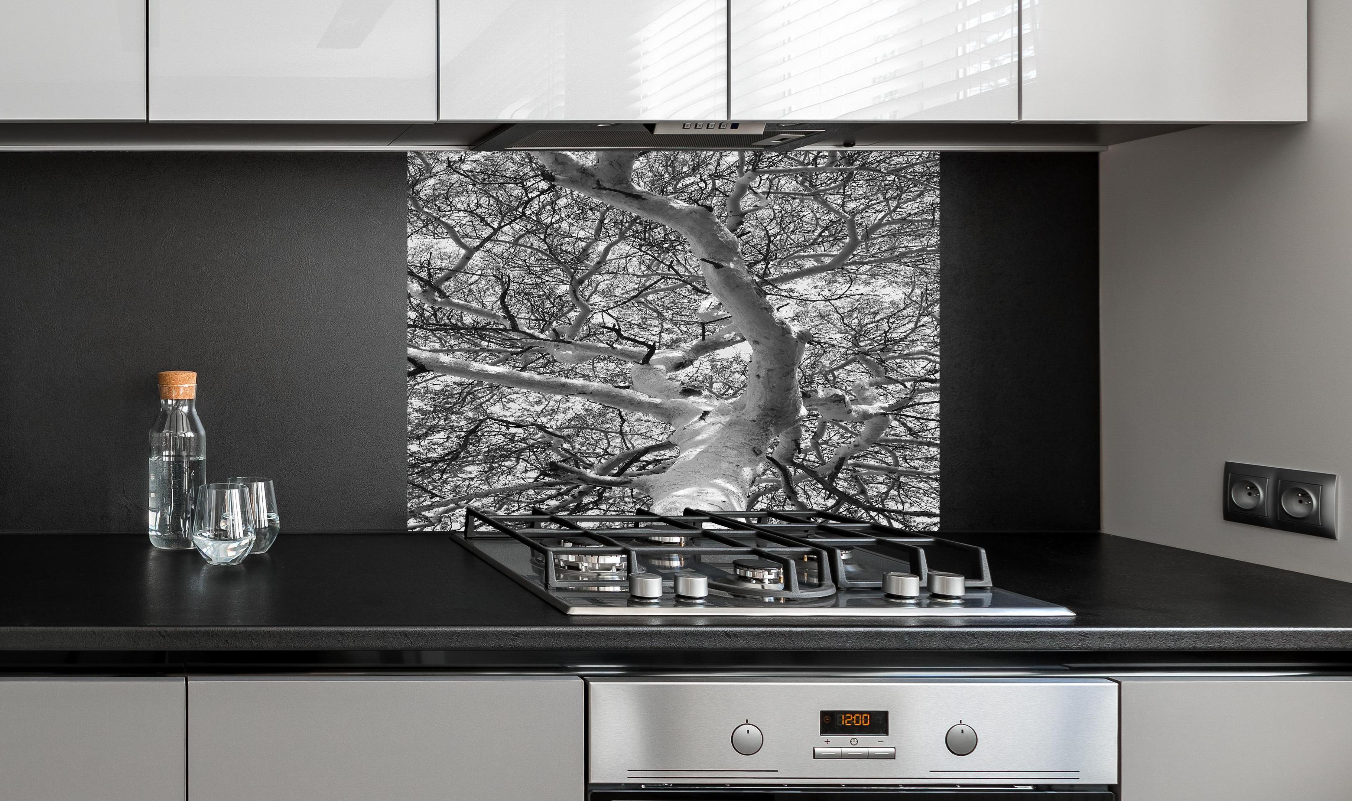 Spritzschutz - Schneeüberdeckte Baumkrone hinter einem Cerankochfeld zwischen Holz-Kochutensilien
