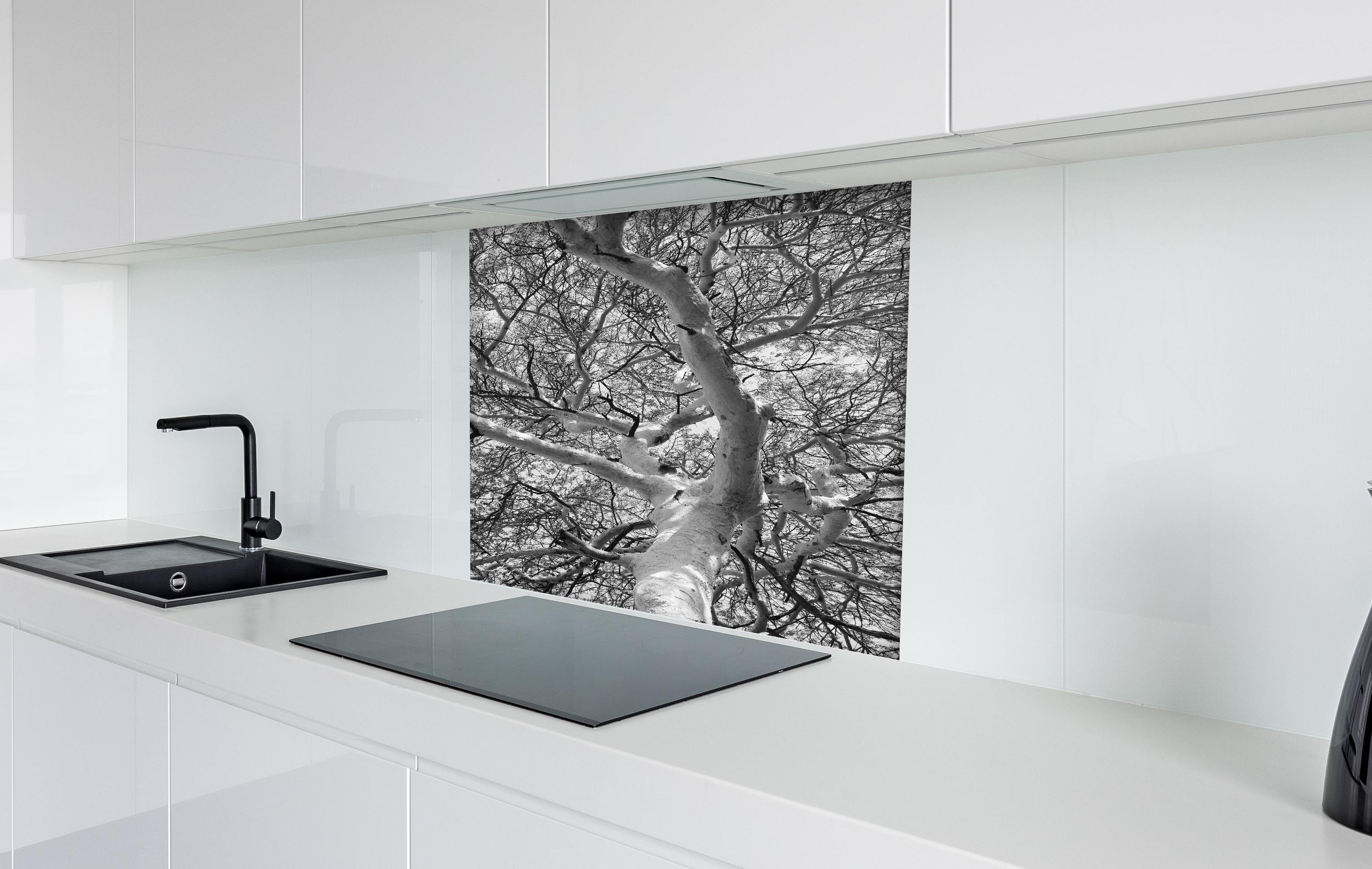 Spritzschutz - Schneeüberdeckte Baumkrone hinter einem Cerankochfeld zwischen Holz-Kochutensilien
