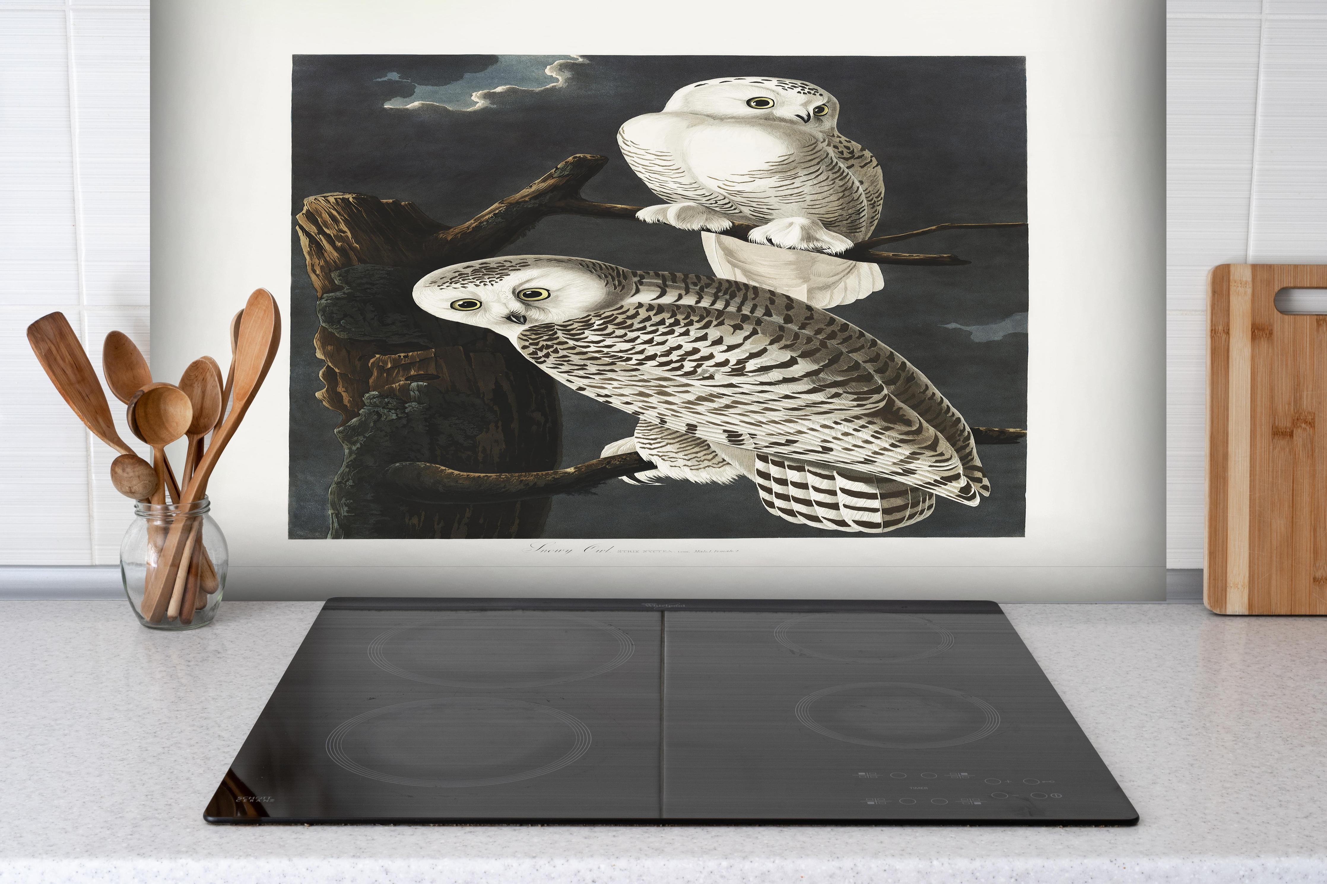 Spritzschutz - Schneeweiße Eulen - John James Audubon hinter einem Cerankochfeld zwischen Holz-Kochutensilien
