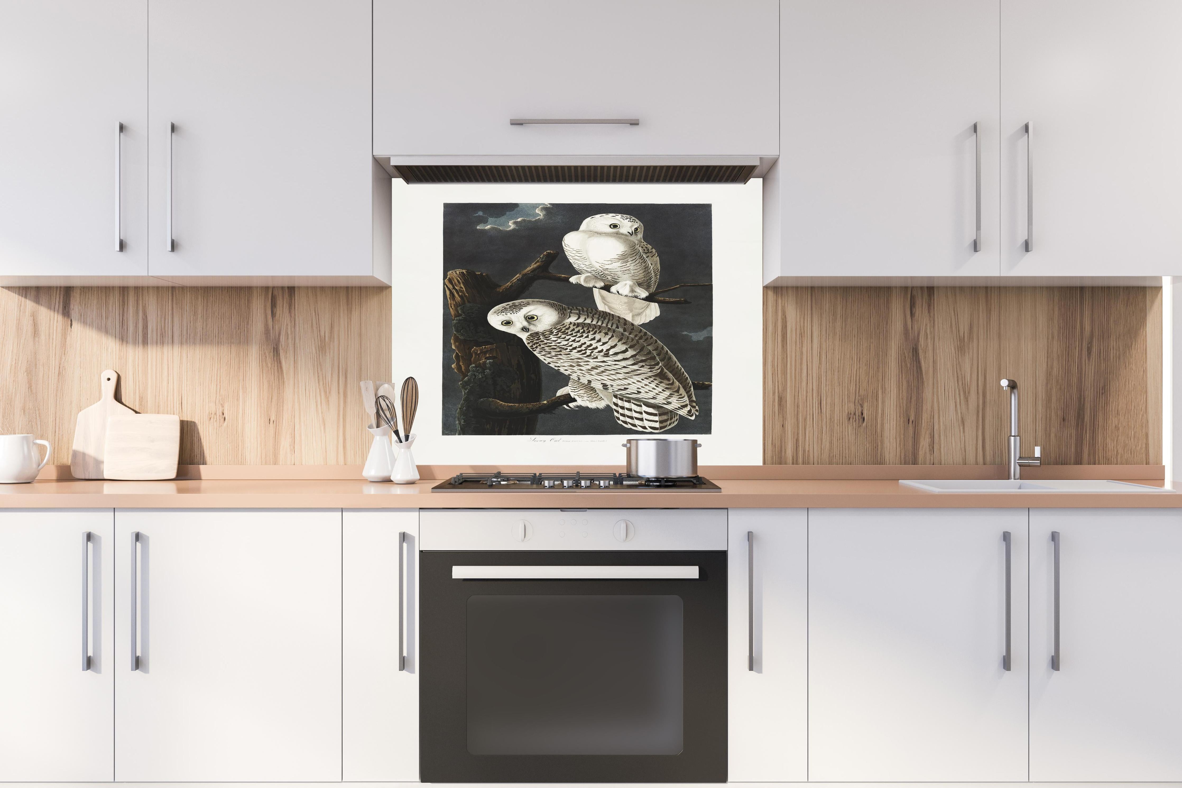 Spritzschutz - Schneeweiße Eulen - John James Audubon hinter einem Cerankochfeld zwischen Holz-Kochutensilien
