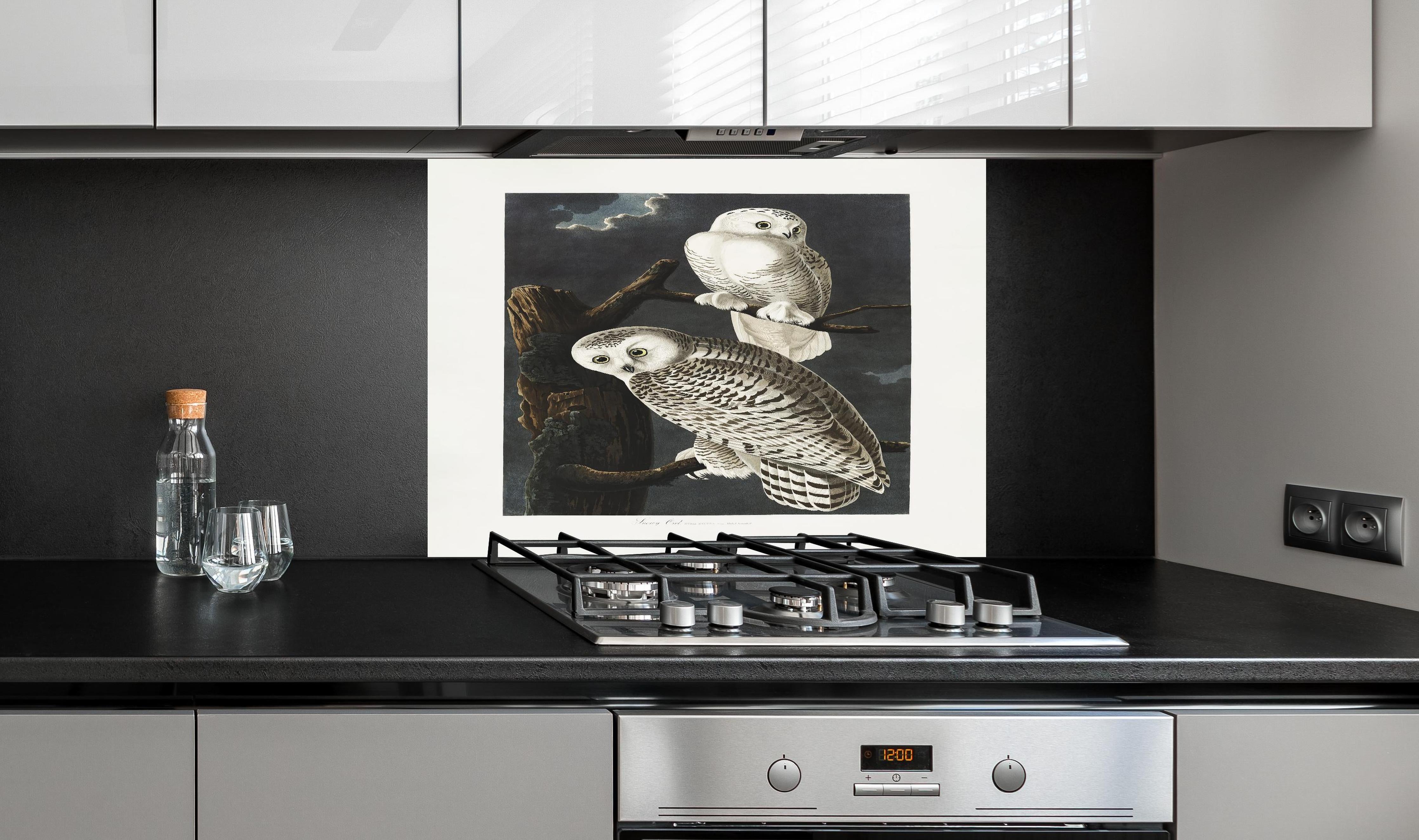 Spritzschutz - Schneeweiße Eulen - John James Audubon hinter einem Cerankochfeld zwischen Holz-Kochutensilien
