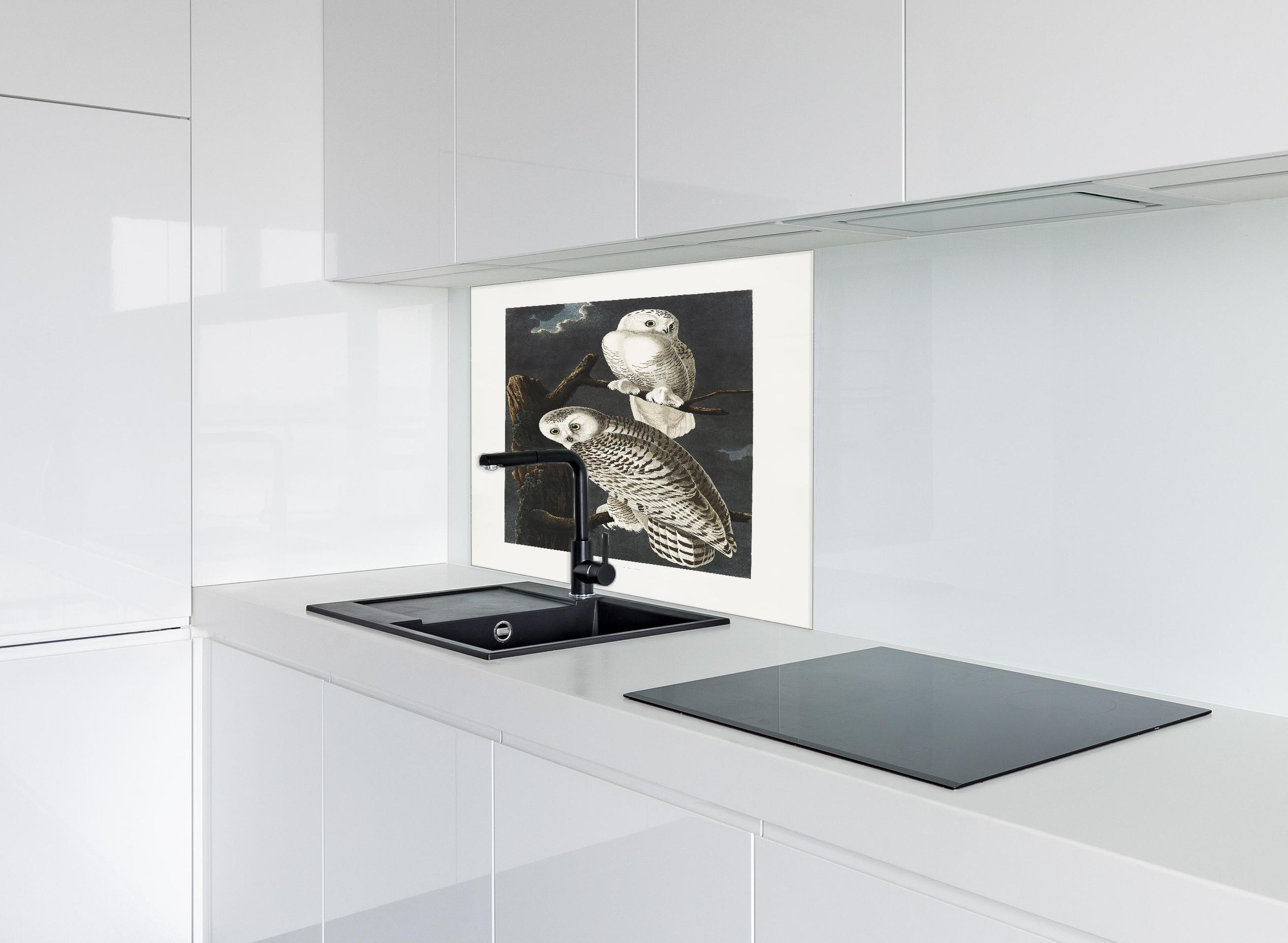 Spritzschutz - Schneeweiße Eulen - John James Audubon hinter einem Cerankochfeld zwischen Holz-Kochutensilien
