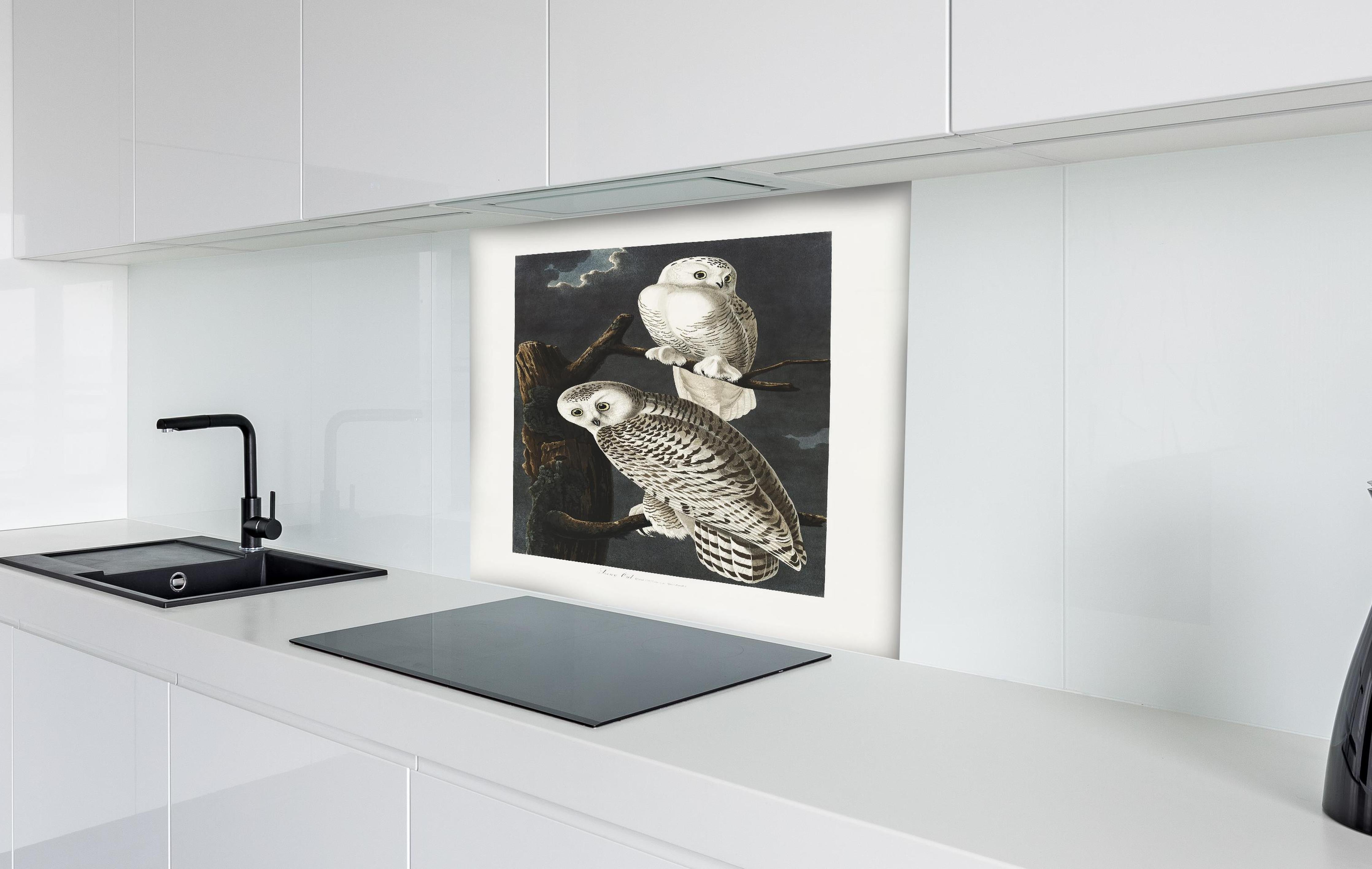 Spritzschutz - Schneeweiße Eulen - John James Audubon hinter einem Cerankochfeld zwischen Holz-Kochutensilien
