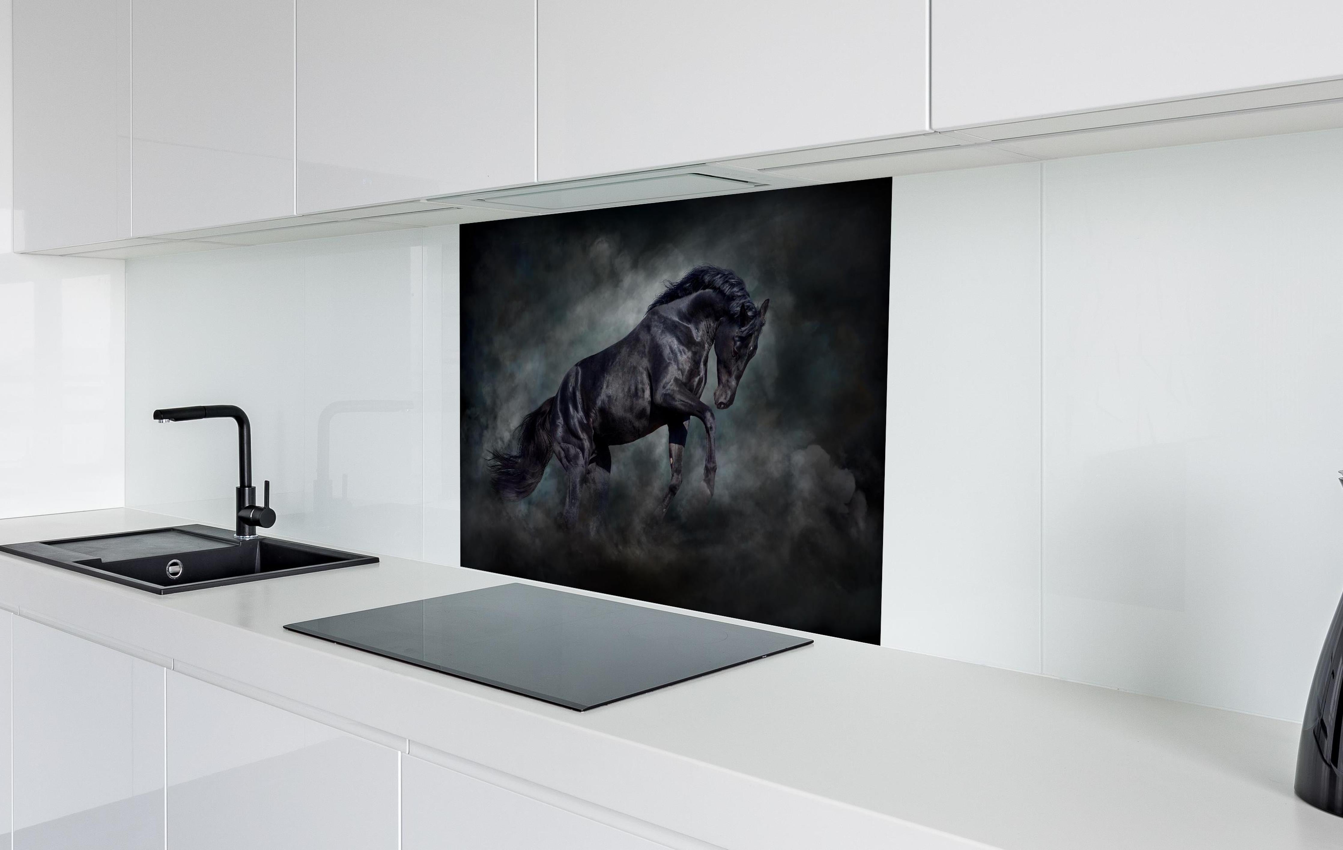 Spritzschutz - Schwarzer hengst hinter einem Cerankochfeld zwischen Holz-Kochutensilien
