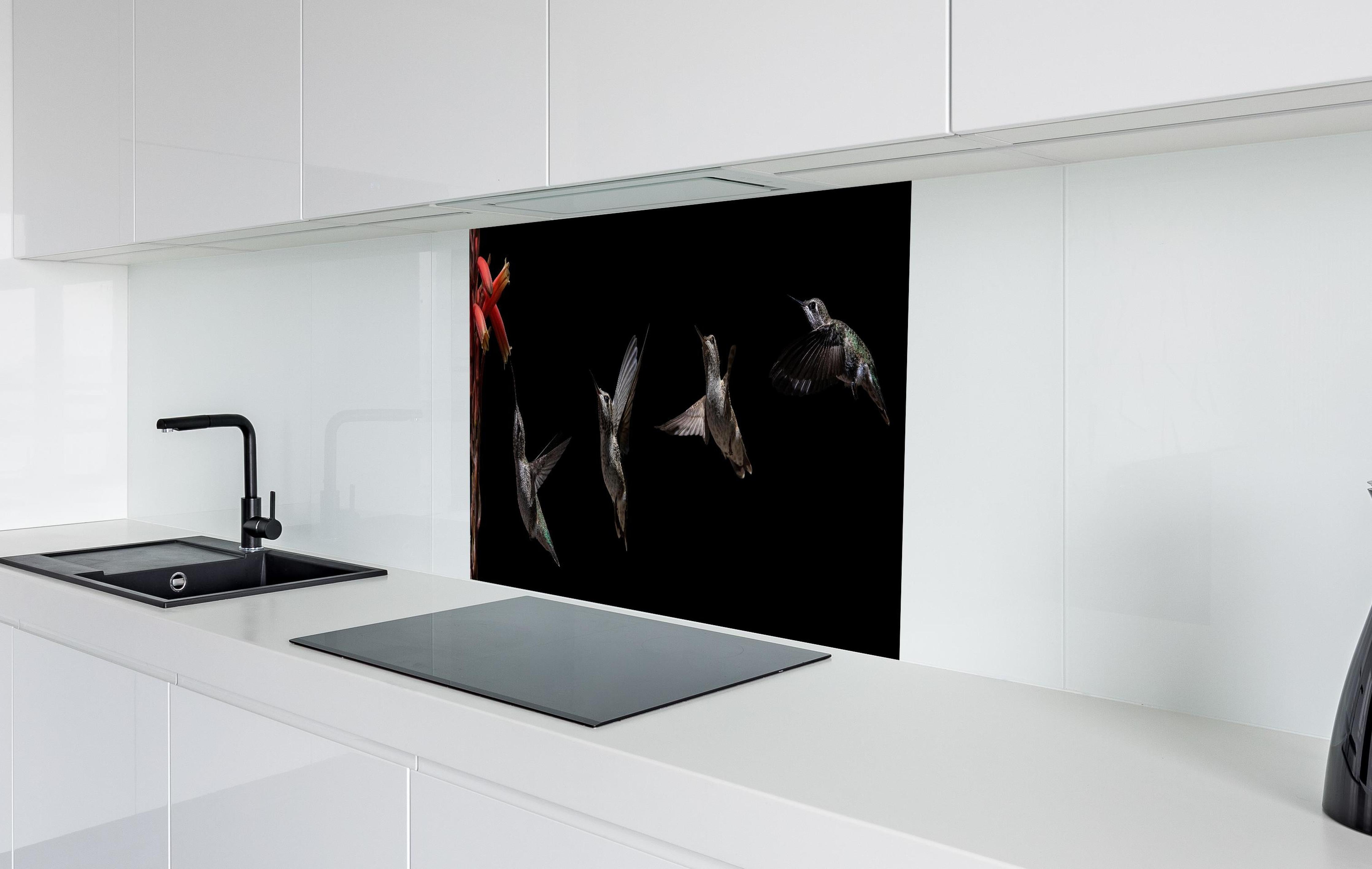 Spritzschutz - Schwarzkinnkolibri Vogel mit Schwarzem Hintergrund hinter einem Cerankochfeld zwischen Holz-Kochutensilien
