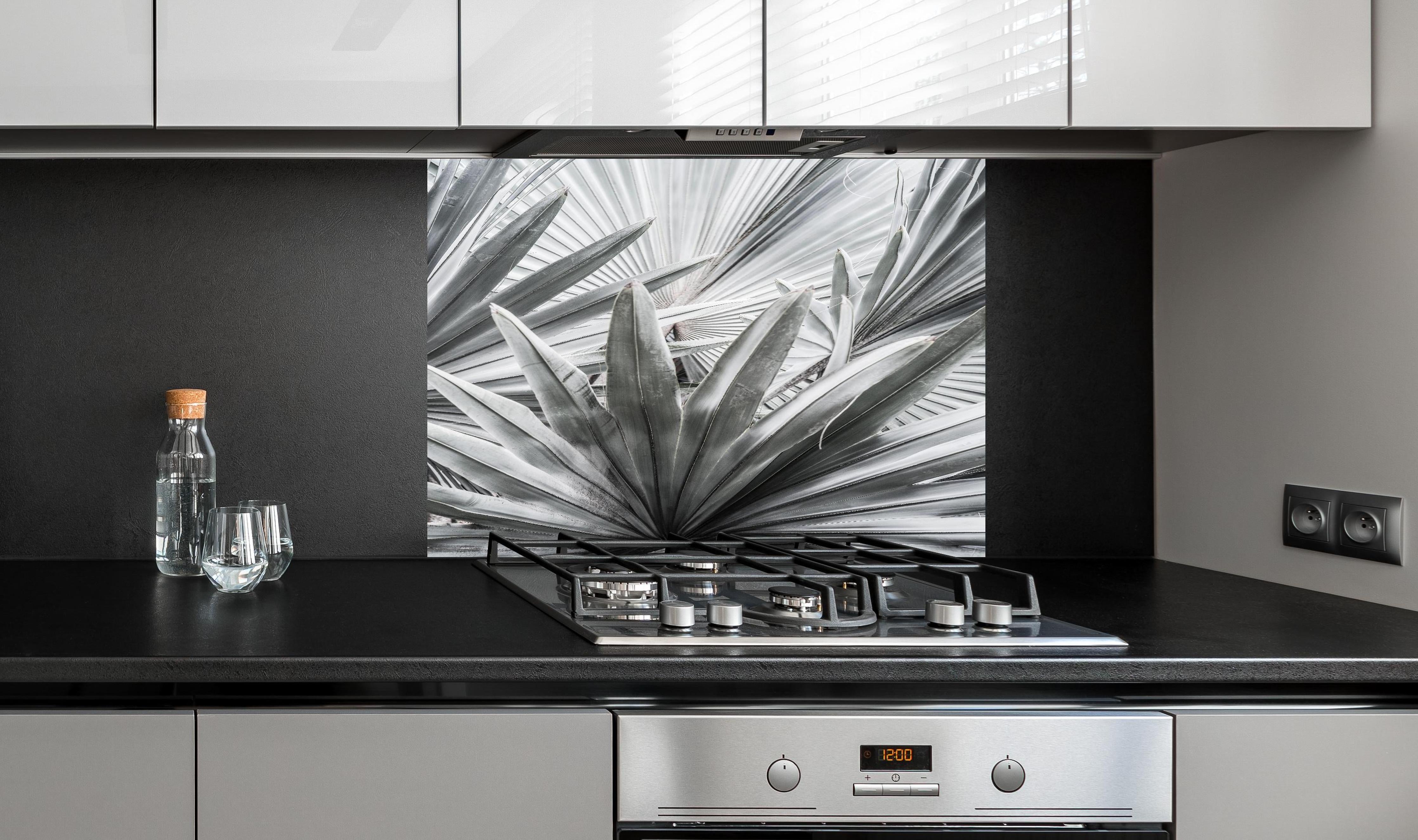 Spritzschutz - Silber-Graue Agave Pflanzenstruktur hinter einem Cerankochfeld zwischen Holz-Kochutensilien
