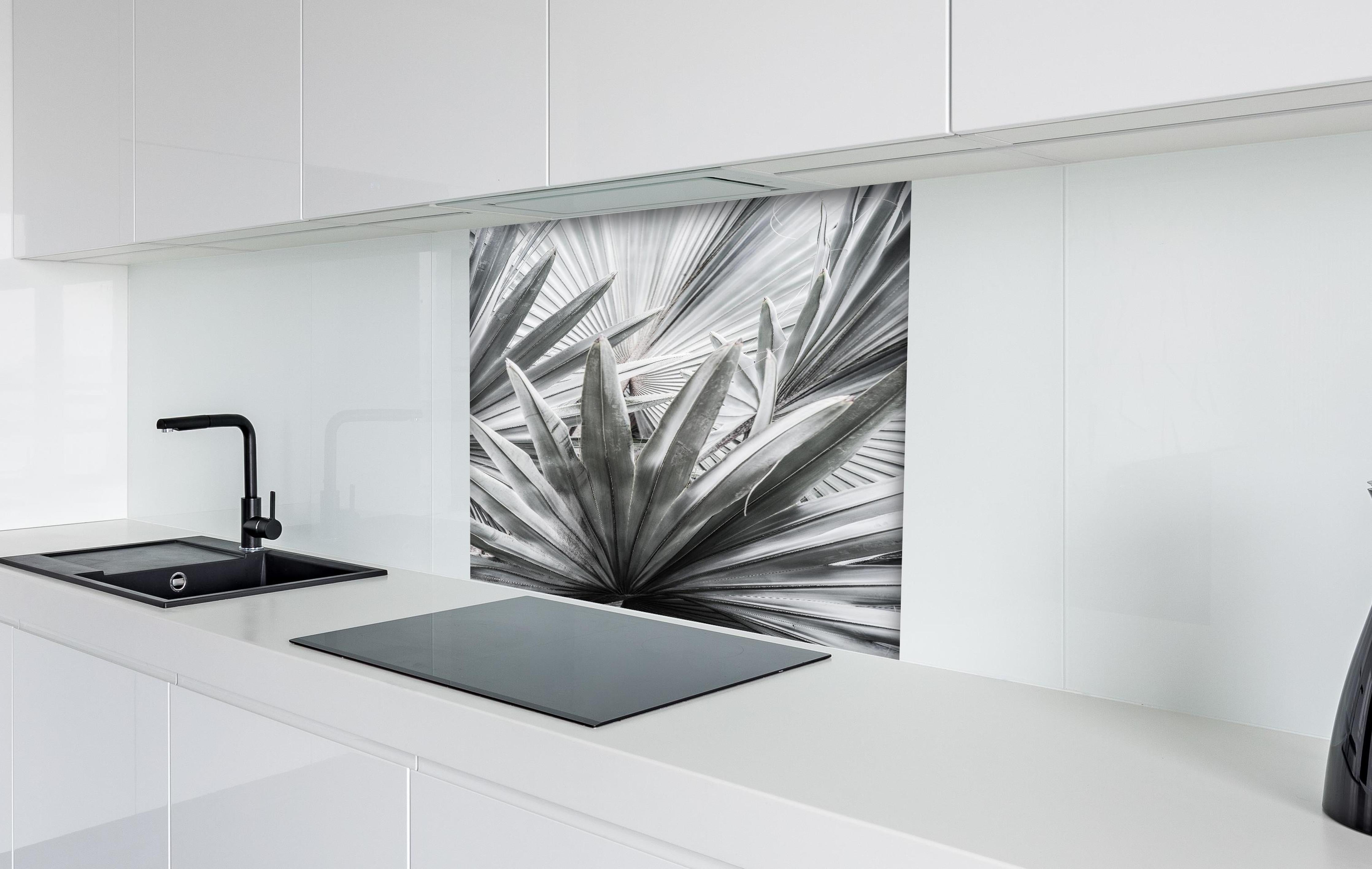 Spritzschutz - Silber-Graue Agave Pflanzenstruktur hinter einem Cerankochfeld zwischen Holz-Kochutensilien
