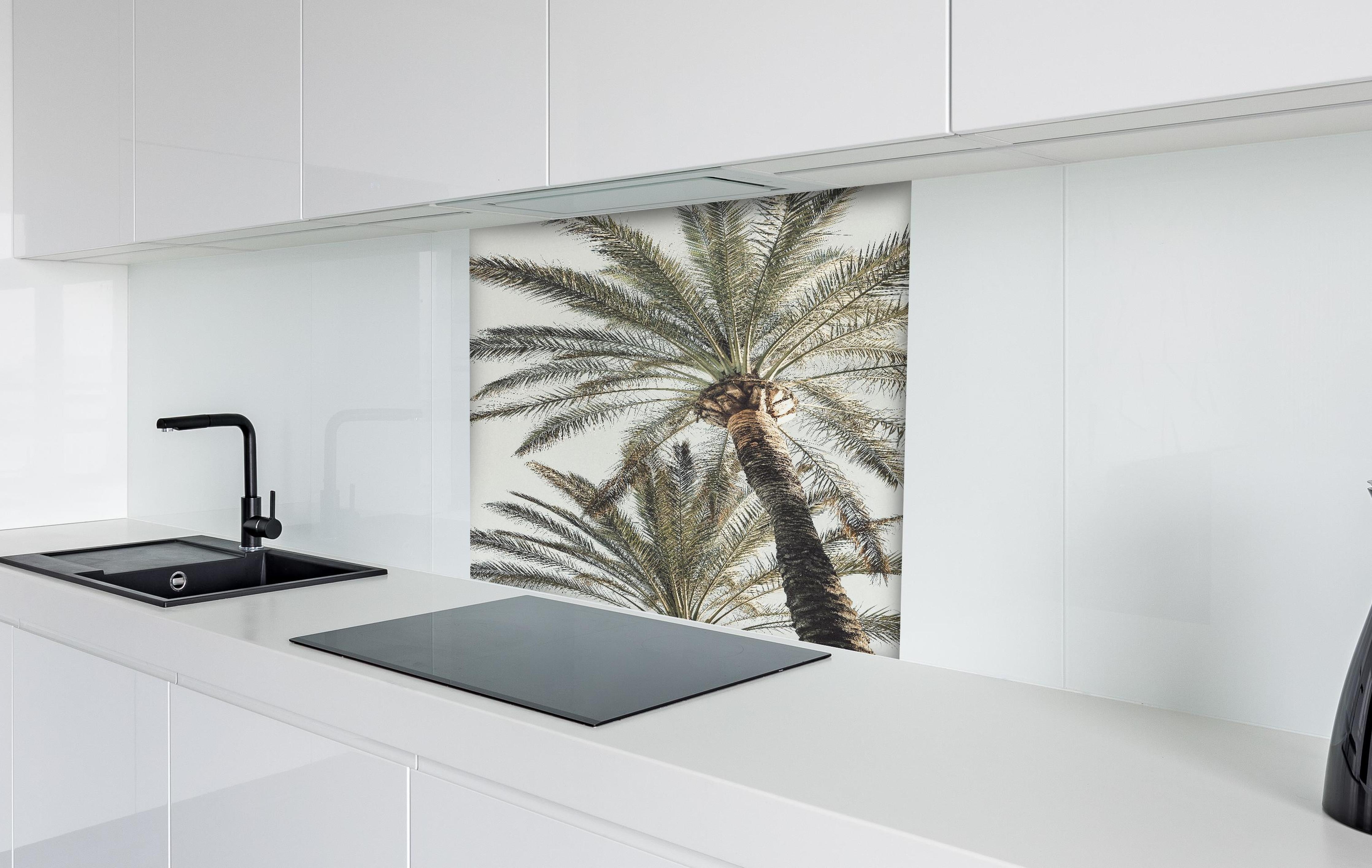 Spritzschutz - Sommerliche Palme  hinter einem Cerankochfeld zwischen Holz-Kochutensilien
