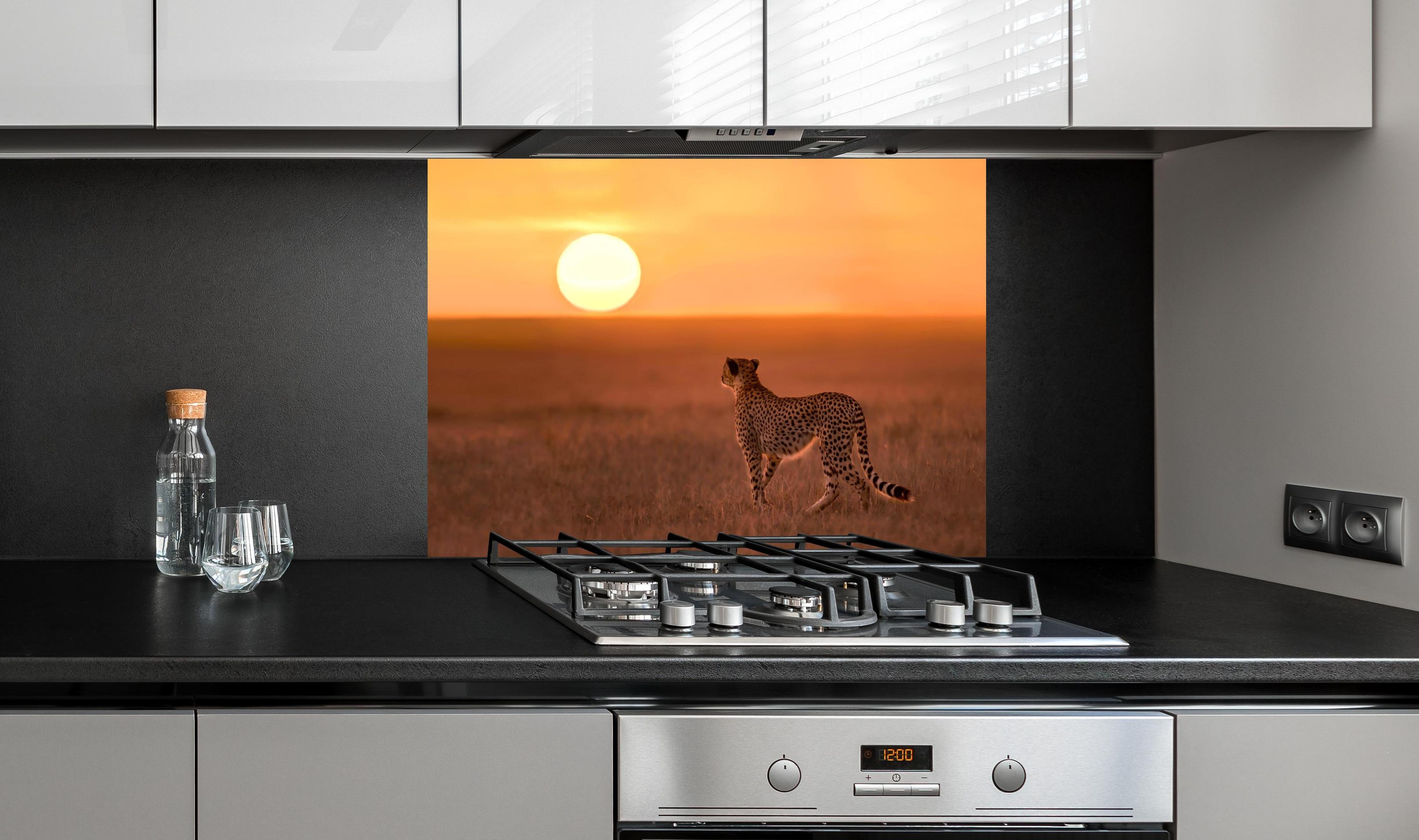 Spritzschutz - Sonnenaufgang in der Savanne - Afrika hinter einem Cerankochfeld zwischen Holz-Kochutensilien
